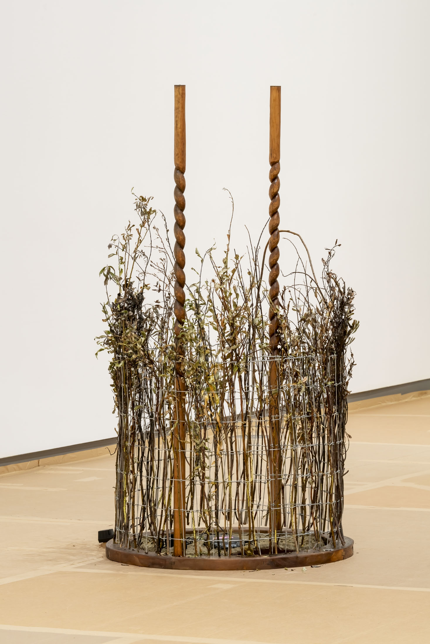 Art gallery of grande prairie common opulence: wishcraft