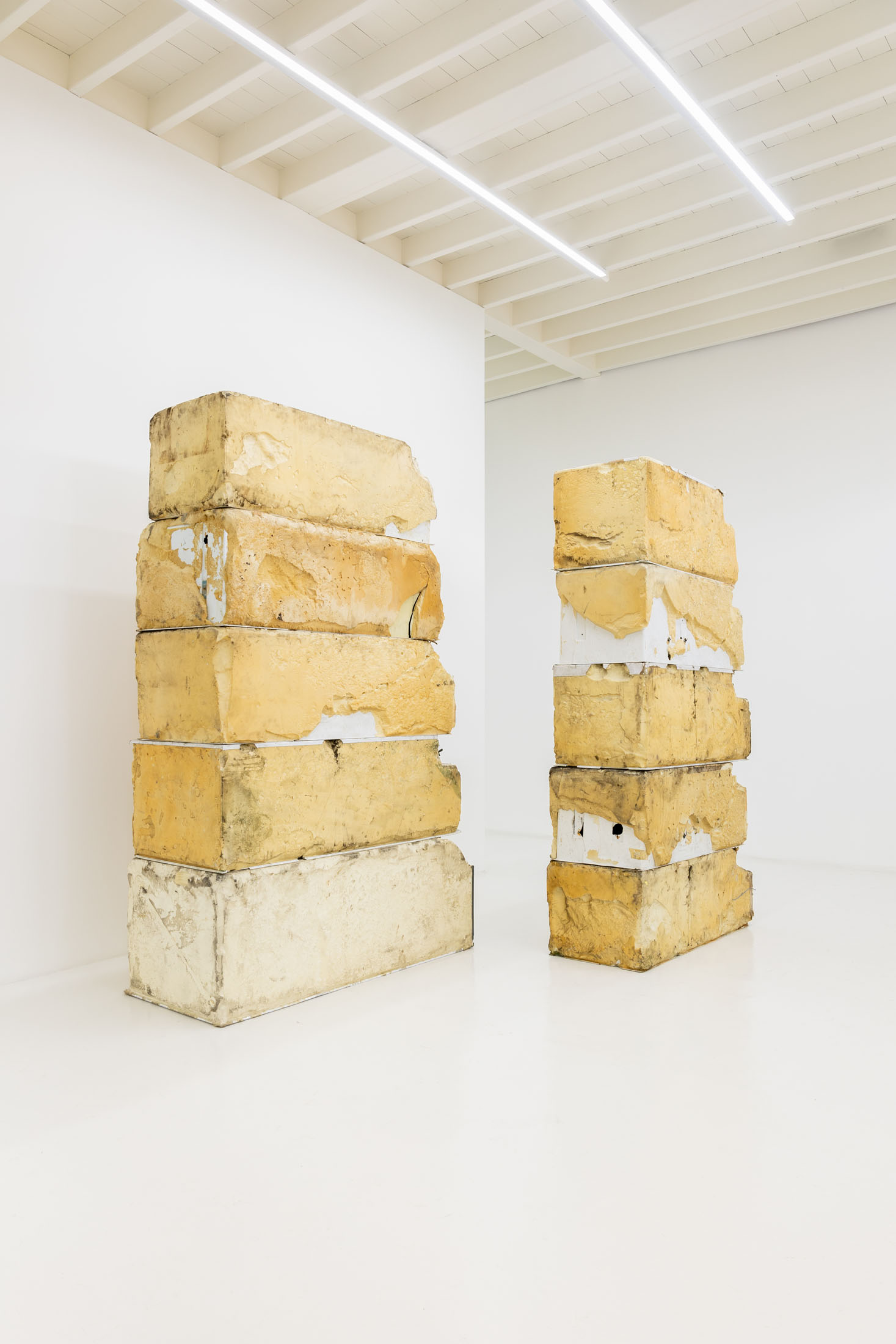 Julia taszycka at galería gato, lima 14