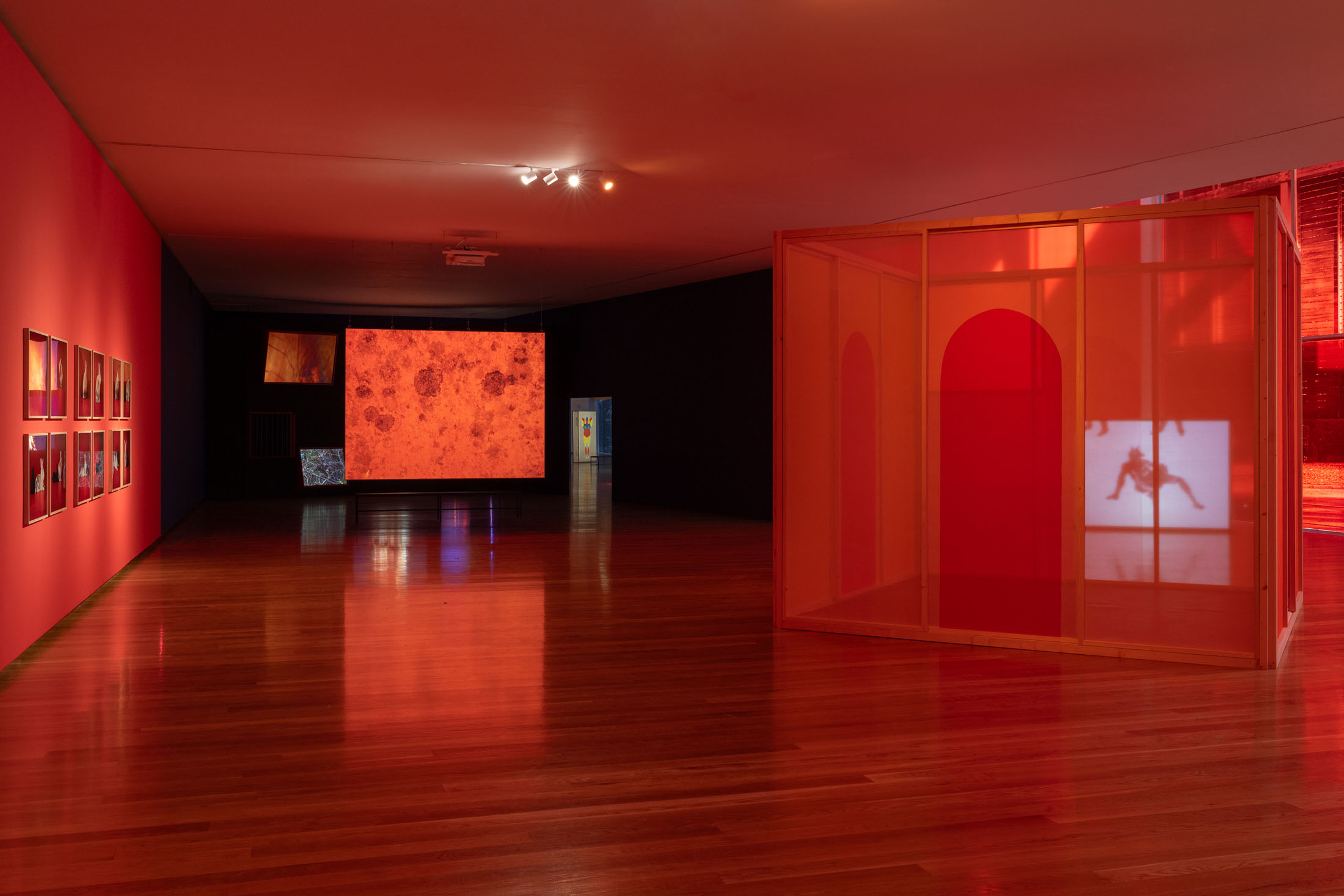 Mariana caló and francisco queimadela at galeria municipal do porto 1