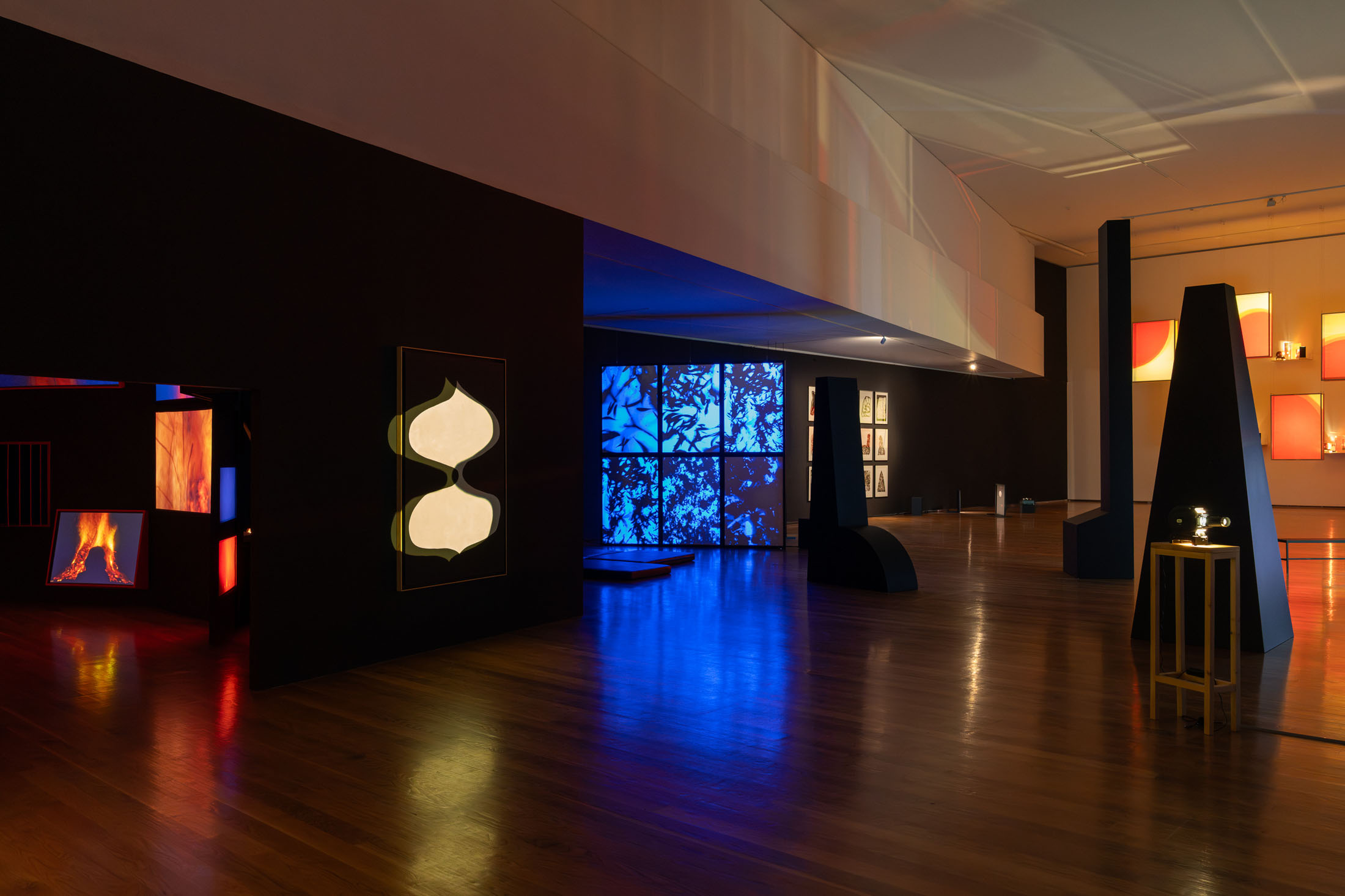 Mariana caló and francisco queimadela at galeria municipal do porto 12