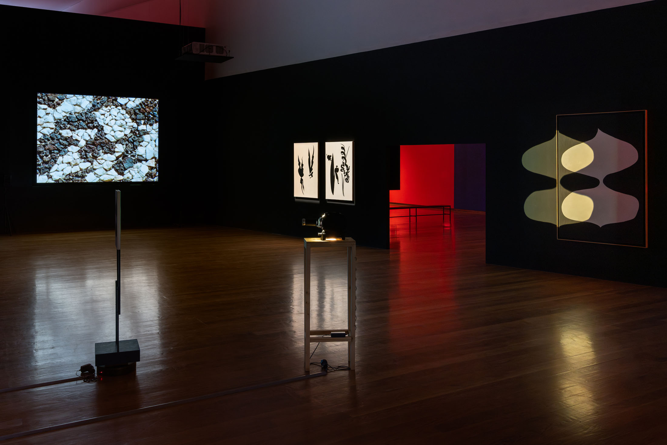 Mariana caló and francisco queimadela at galeria municipal do porto 13