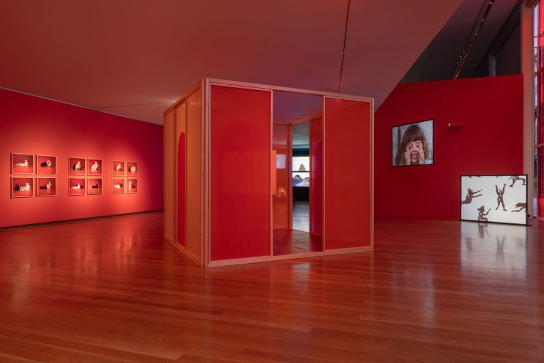 Mariana caló and francisco queimadela at galeria municipal do porto 4