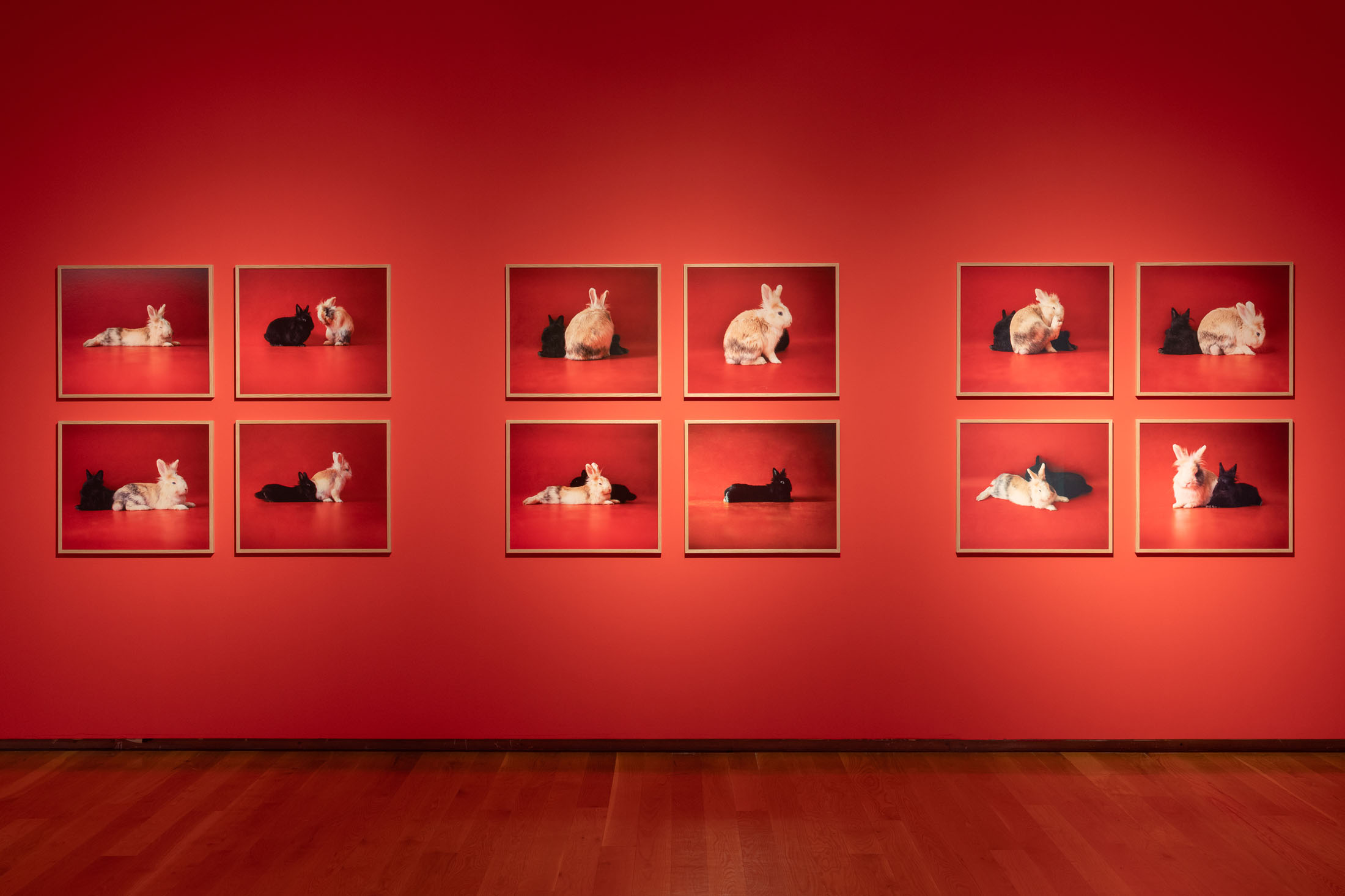 Mariana caló and francisco queimadela at galeria municipal do porto 6