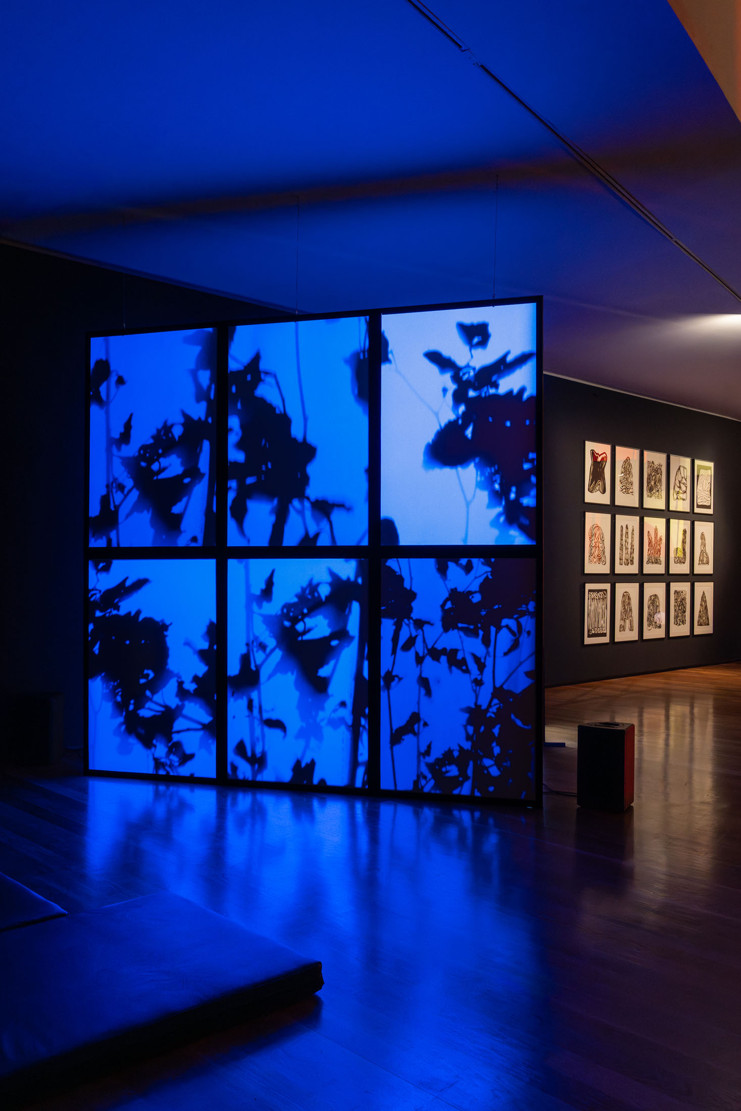 Mariana caló and francisco queimadela at galeria municipal do porto 7