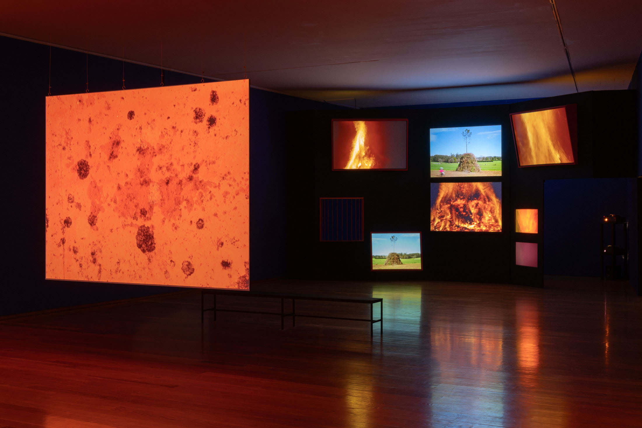 Mariana caló and francisco queimadela at galeria municipal do porto 9