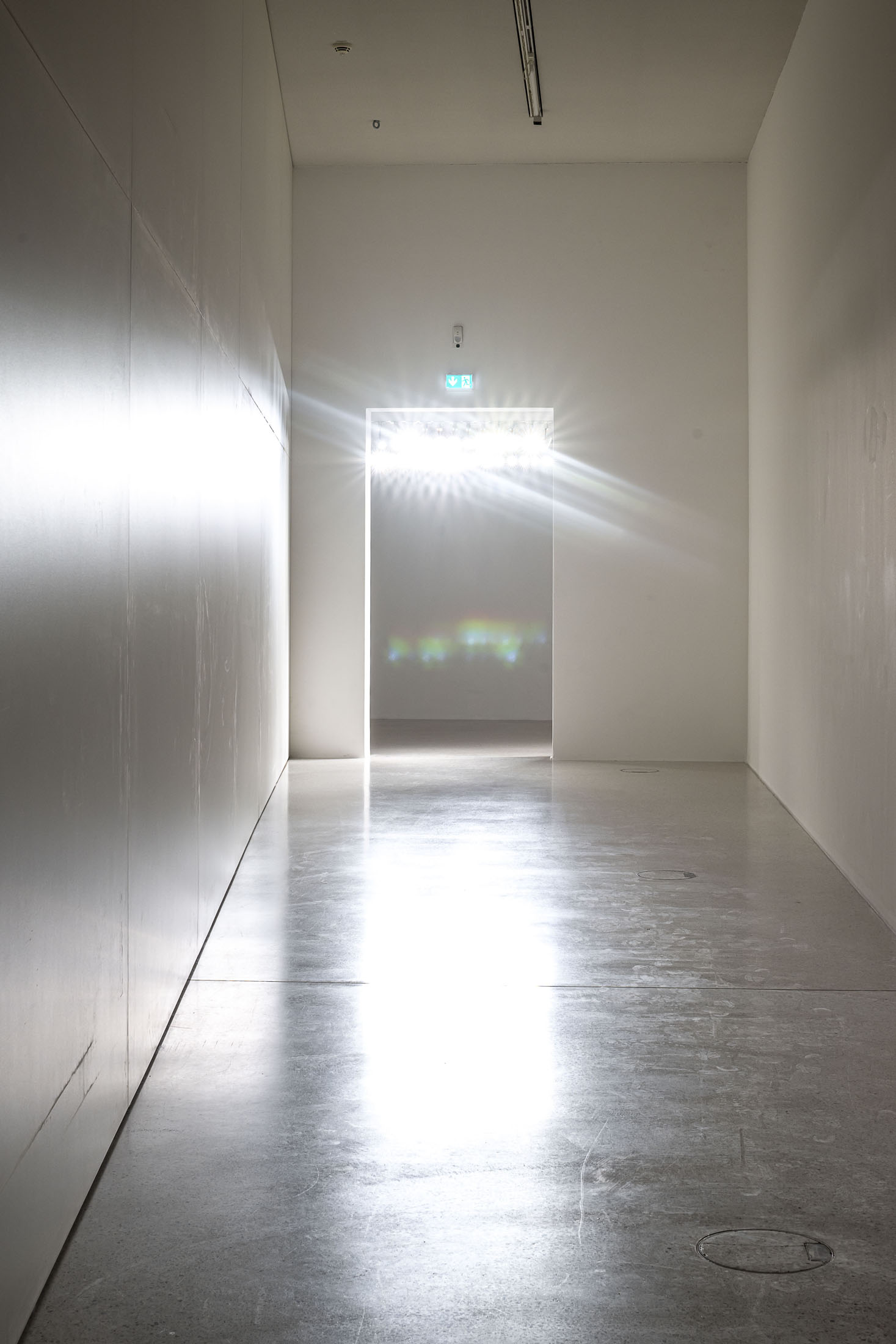 Rosa aiello at westfälischer kunstverein, münster 28