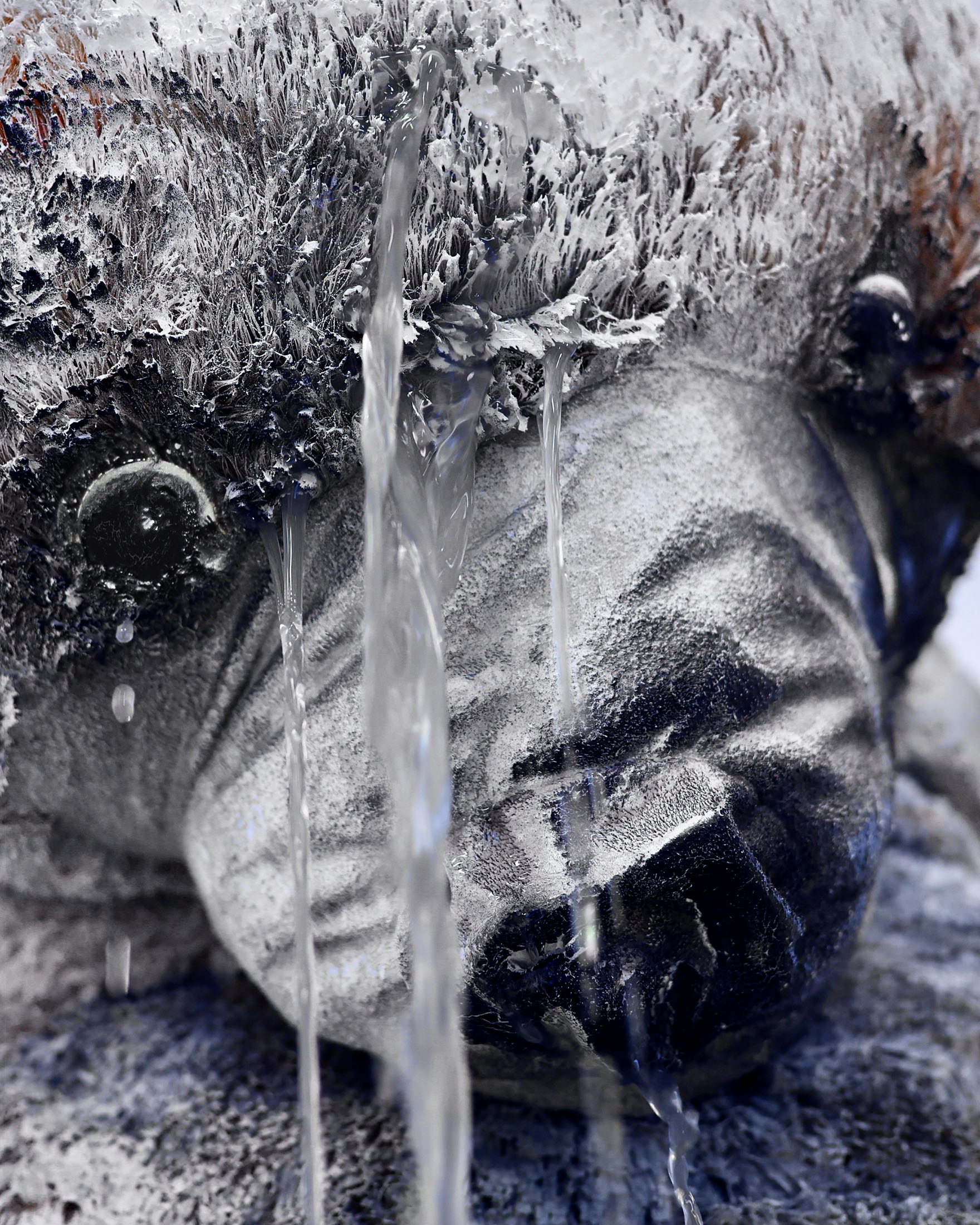 Andreas r andersson at råneå konsthall 5