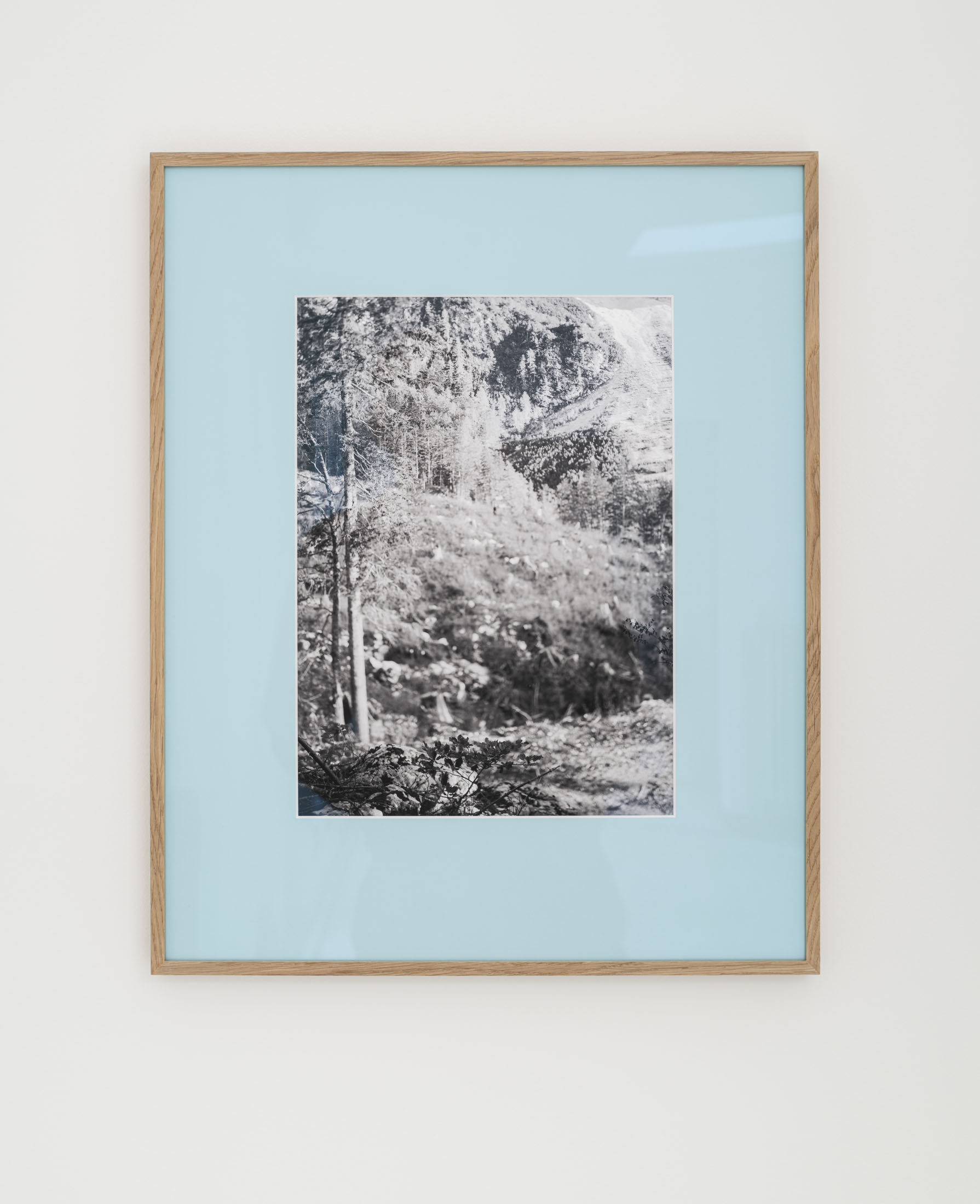 Arnout de cleene & michiel de cleene at convent, ghent 5