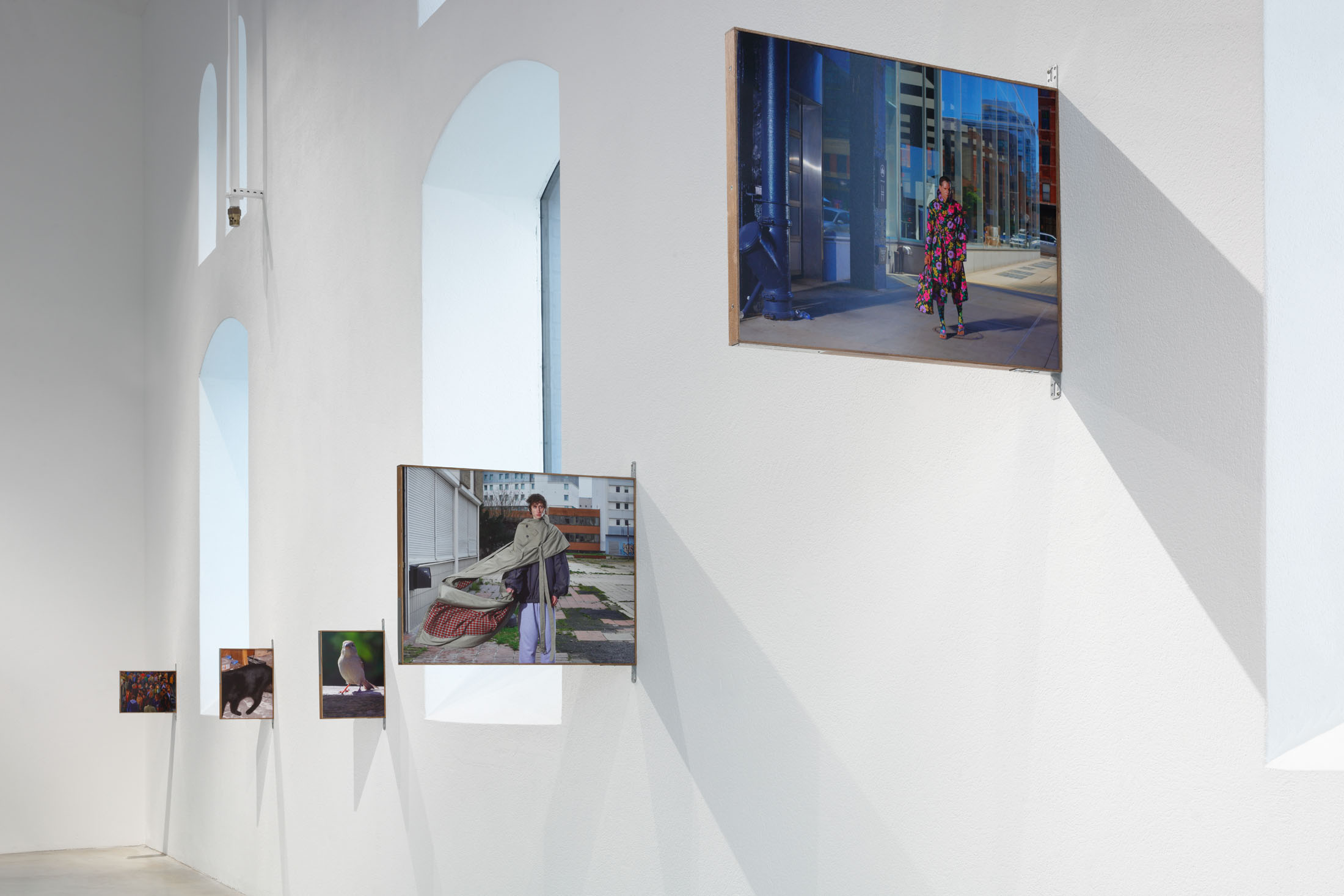 Boris camaca at plato ostrava 10