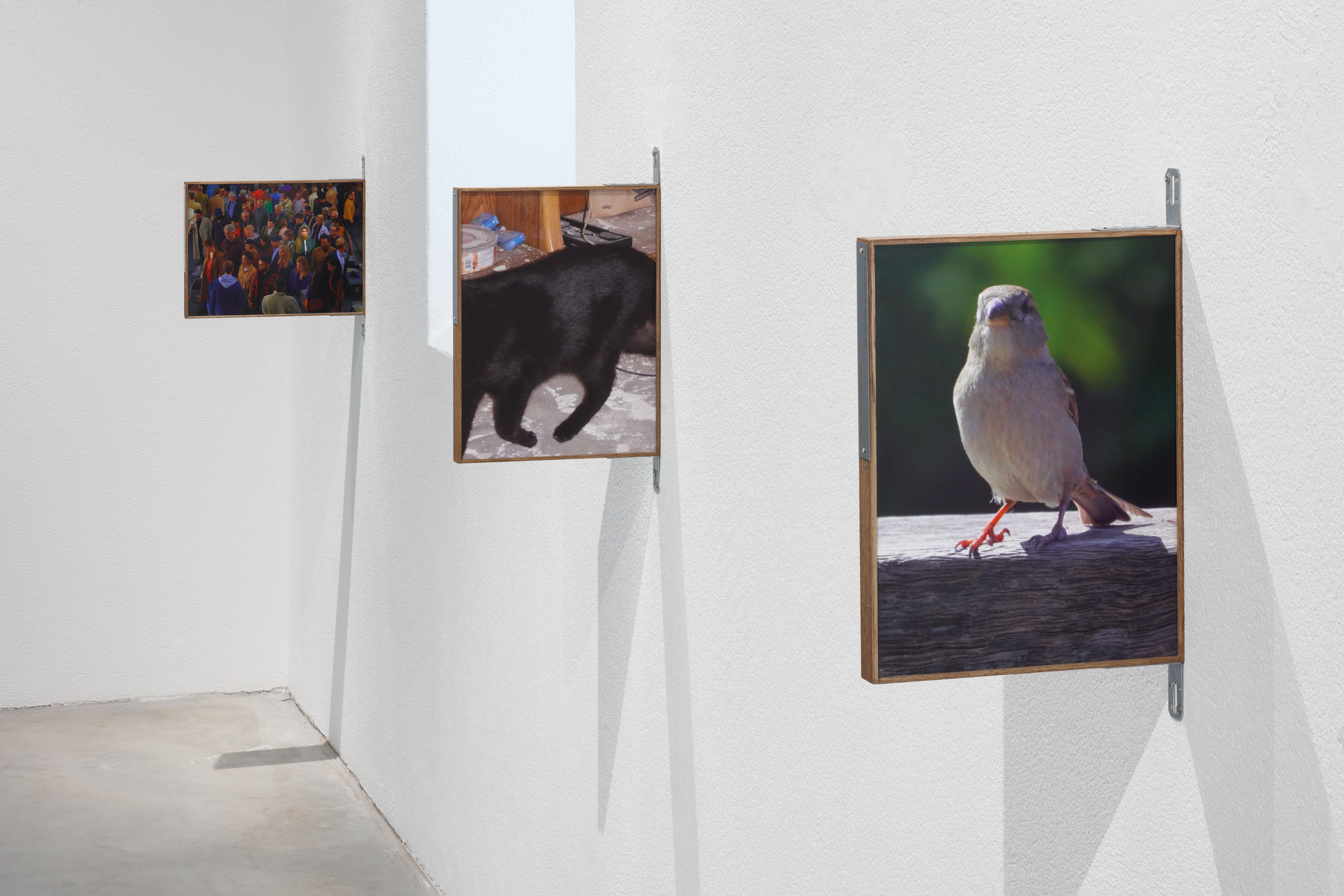 Boris camaca at plato ostrava 11