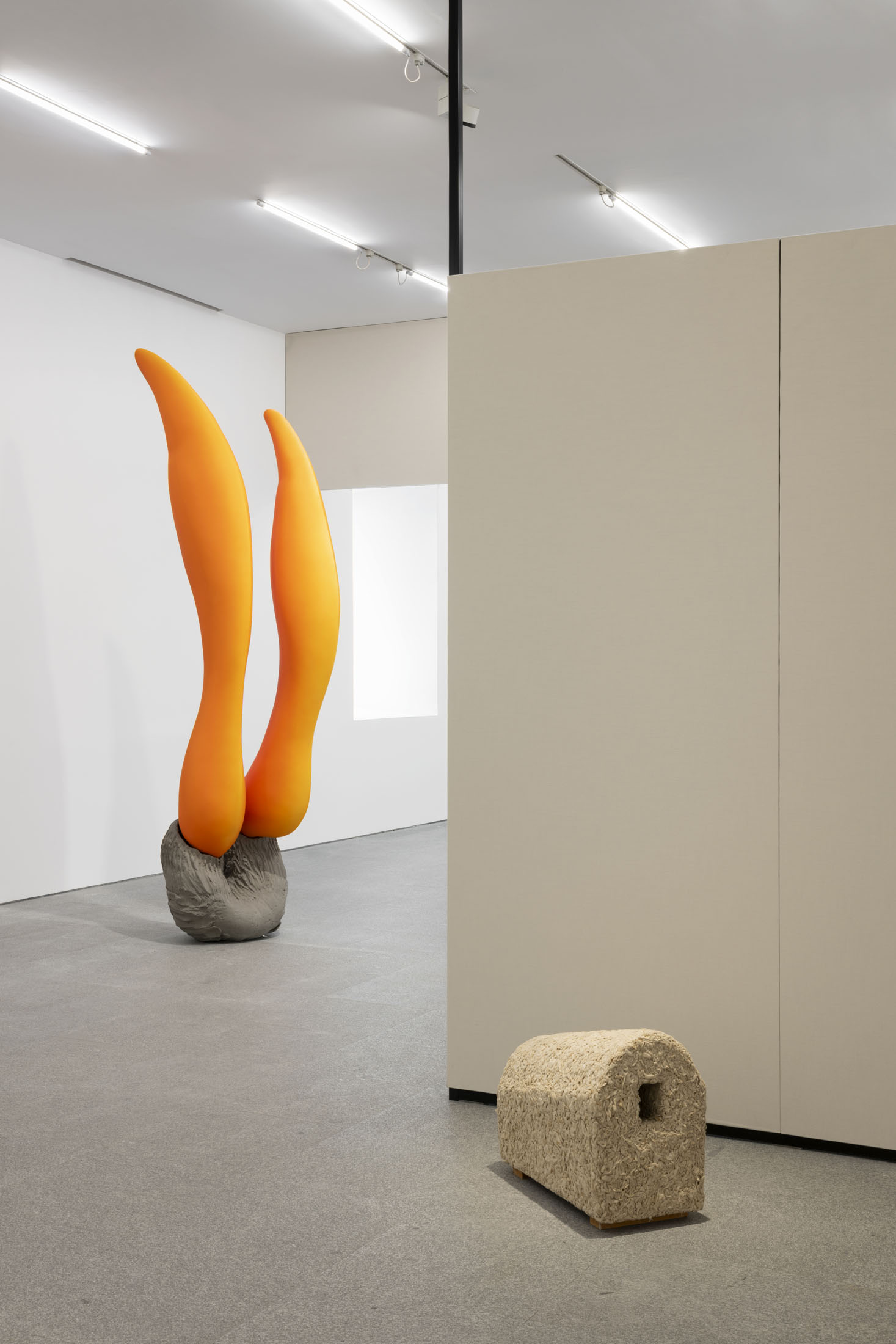 Collection contemporary art: 1975–present at museo nacional centro de arte reina sofía, madrid 26