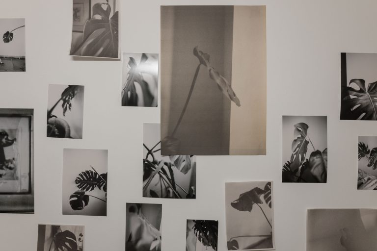 Ian waelder at gak gesellschaft für aktuelle kunst, bremen 27