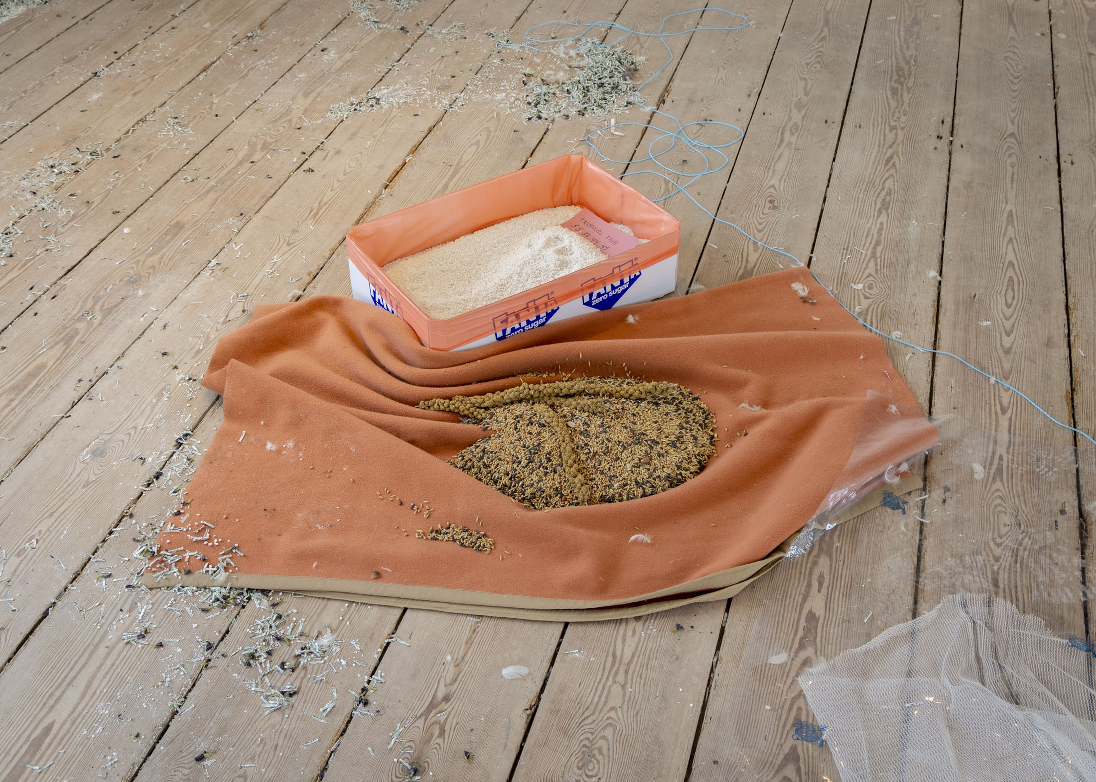 Jason dodge and elena narbutaitė at orthunga, vordingborg 5