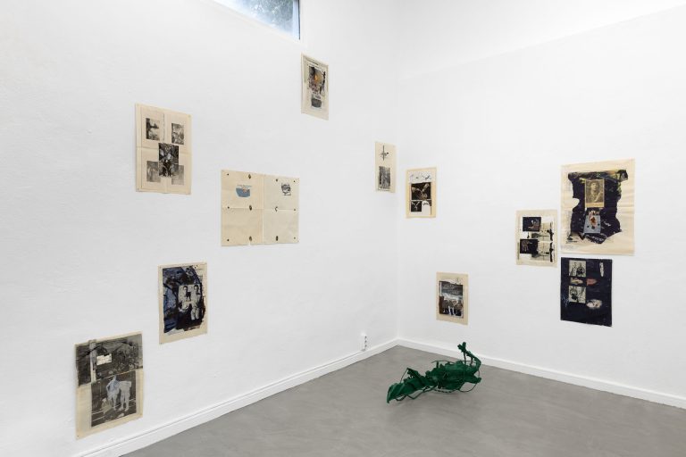 Jordi mitjà at taca, palma 12