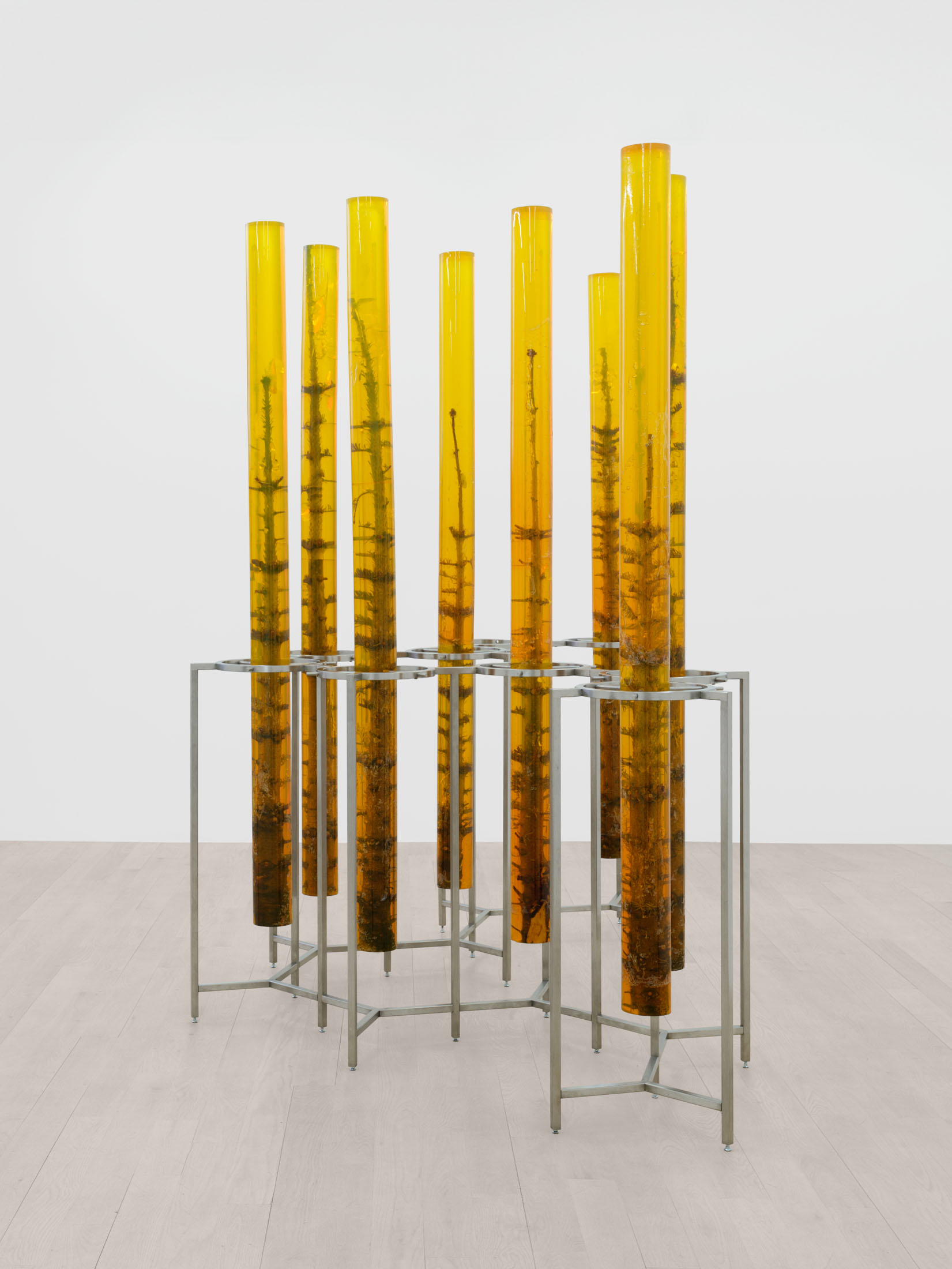 Jura shust at management, new york 3