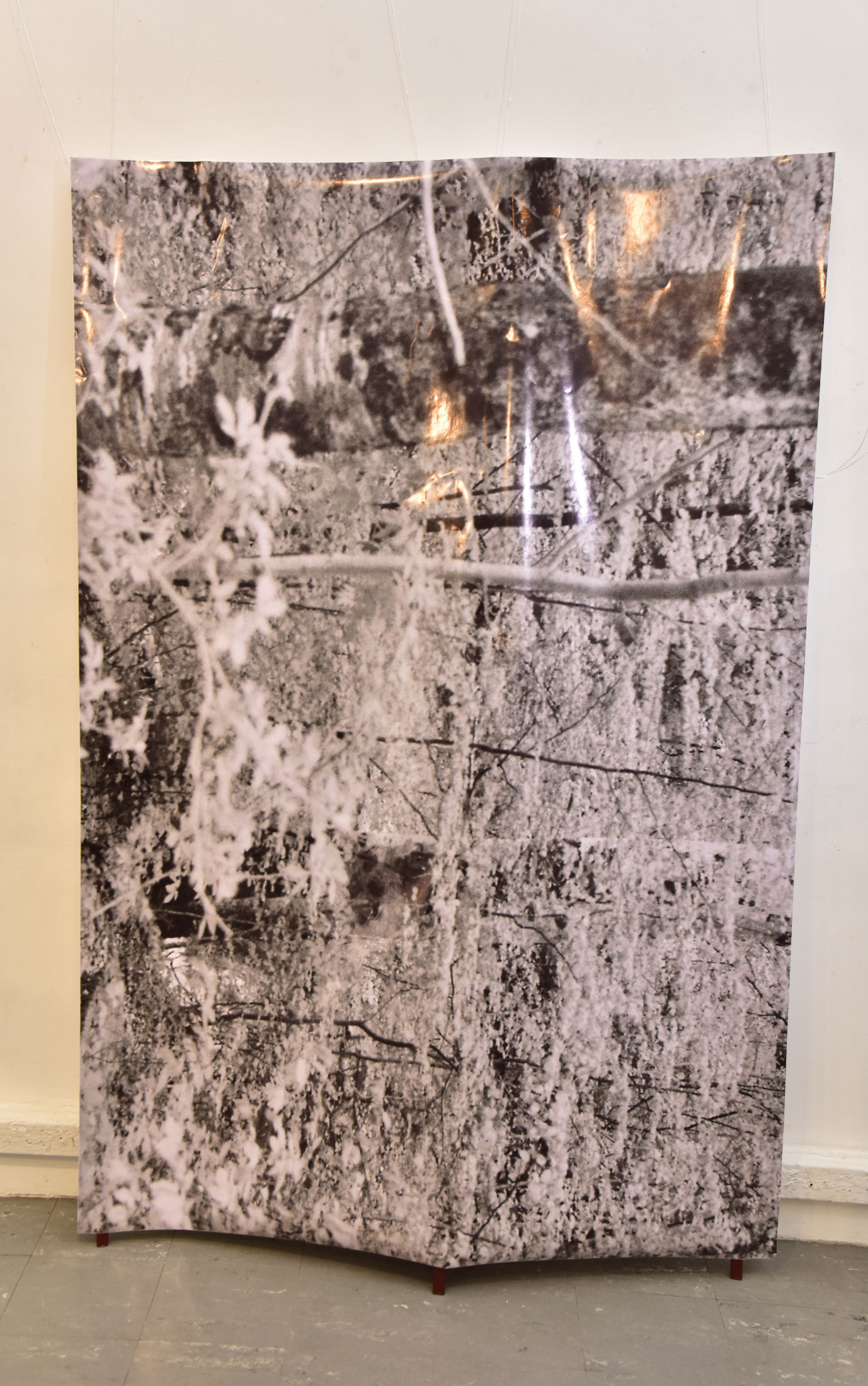 Paradox plaza at lionel wendt gallery, colombo 12