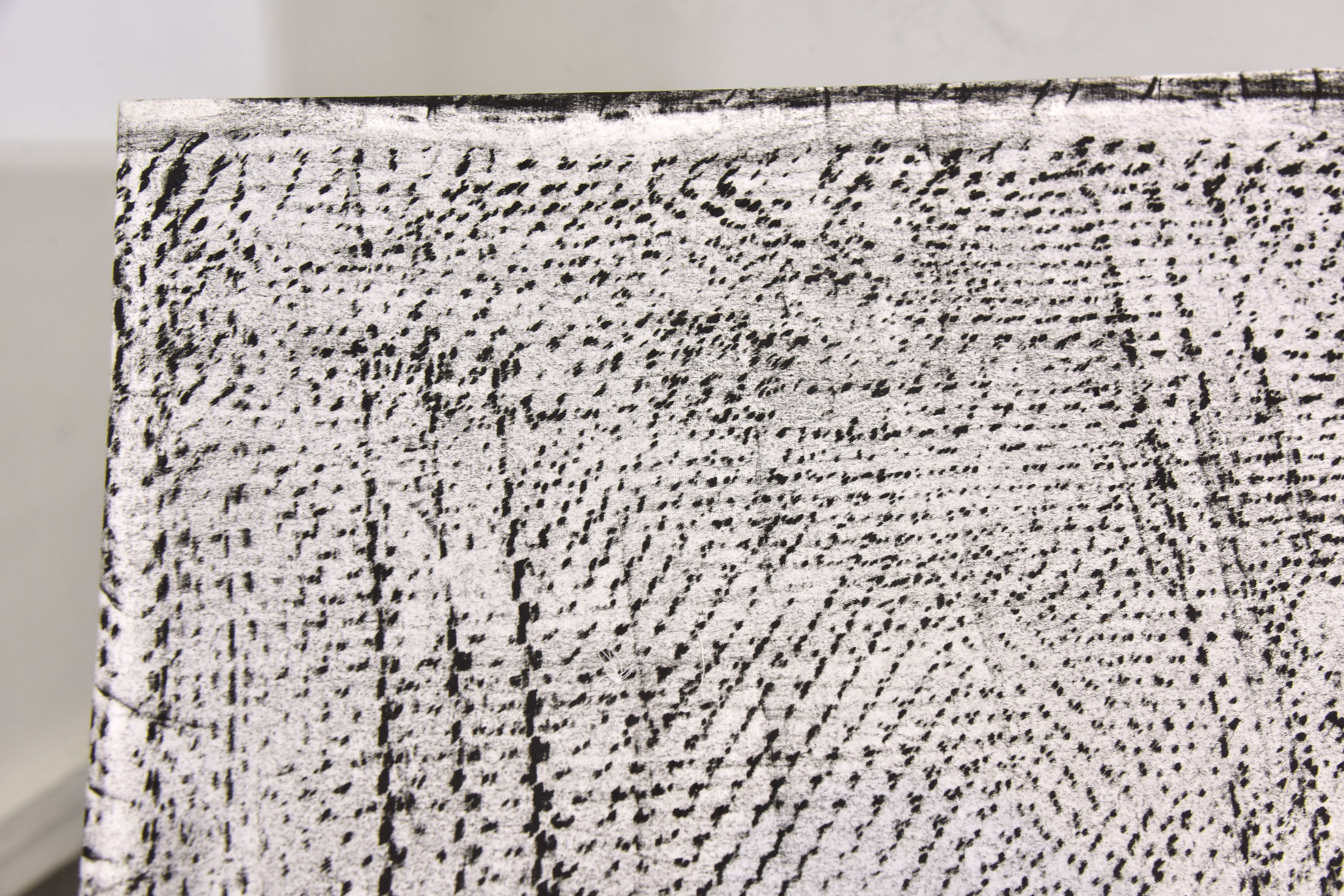 Paradox plaza at lionel wendt gallery, colombo 15