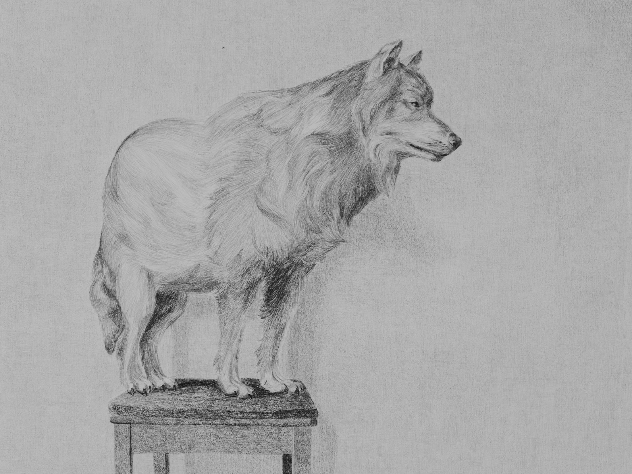 Unravel at trotoar gallery, zagreb 7