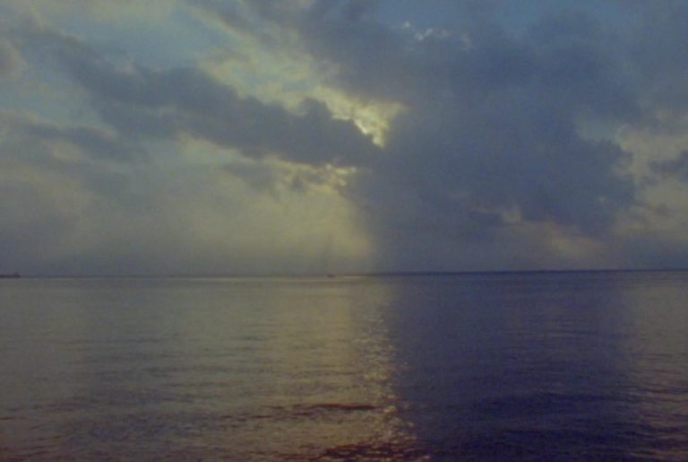 Valentina alvarado matos apparition, petal and tongue, 2024 cover