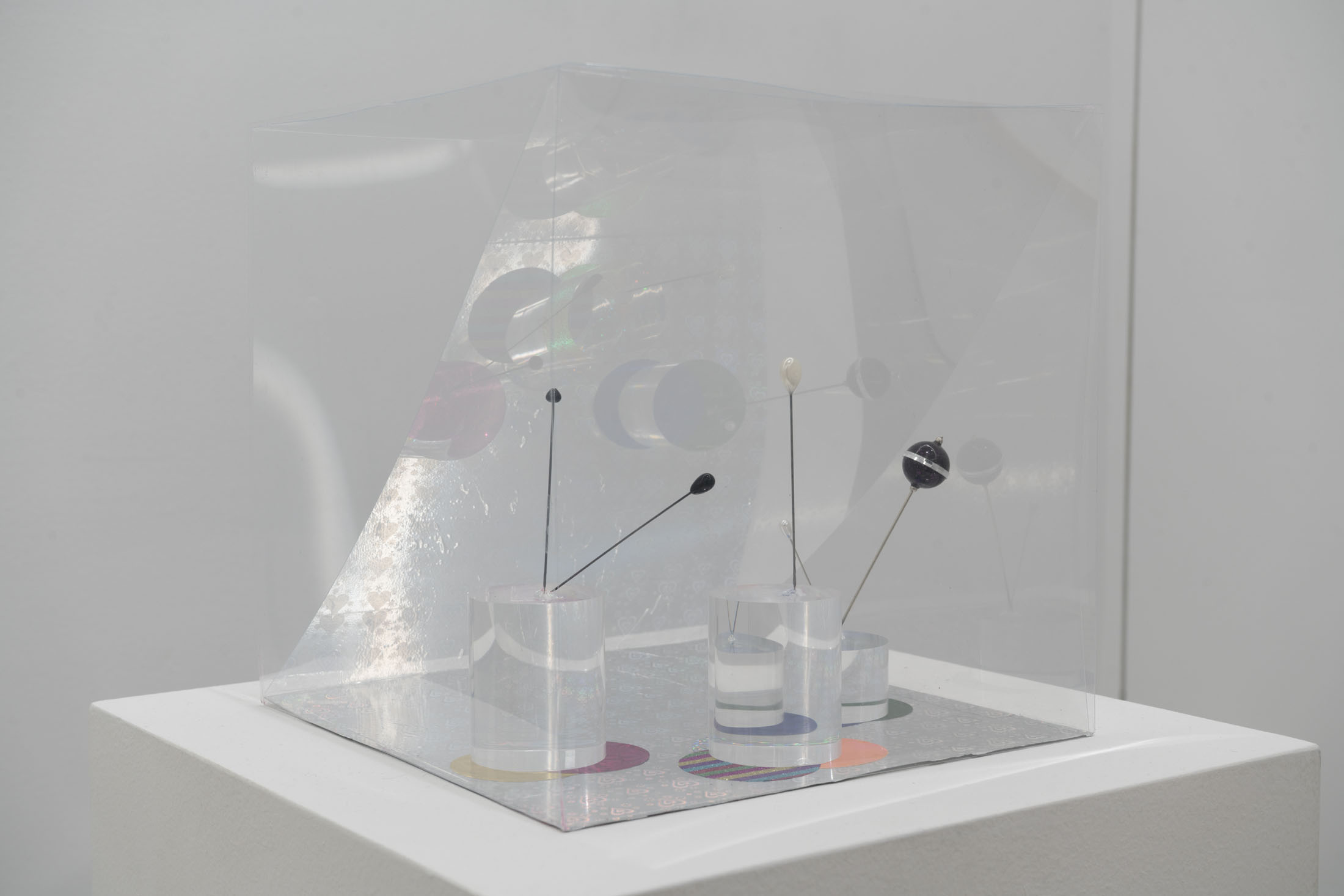 Connor bokovay and isabella kressin at gern en regalia, new york 22