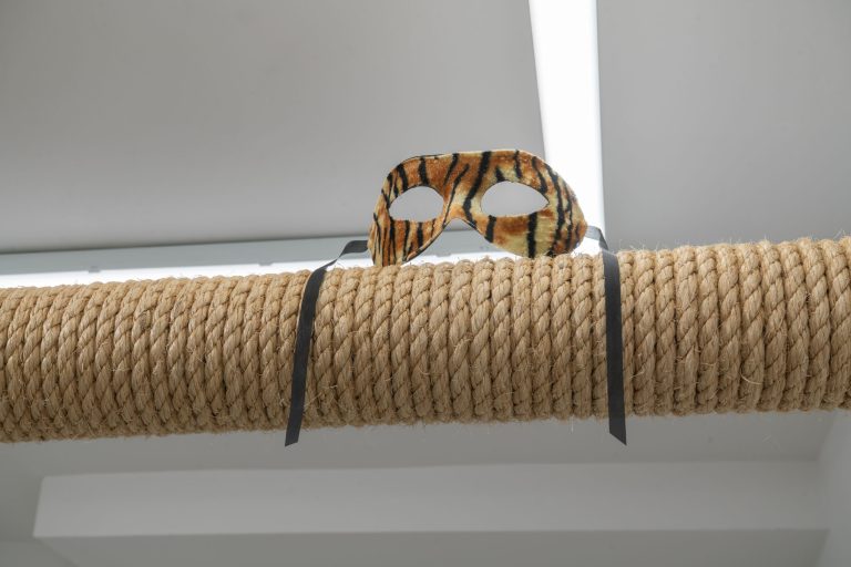 Connor bokovay and isabella kressin at gern en regalia, new york 25