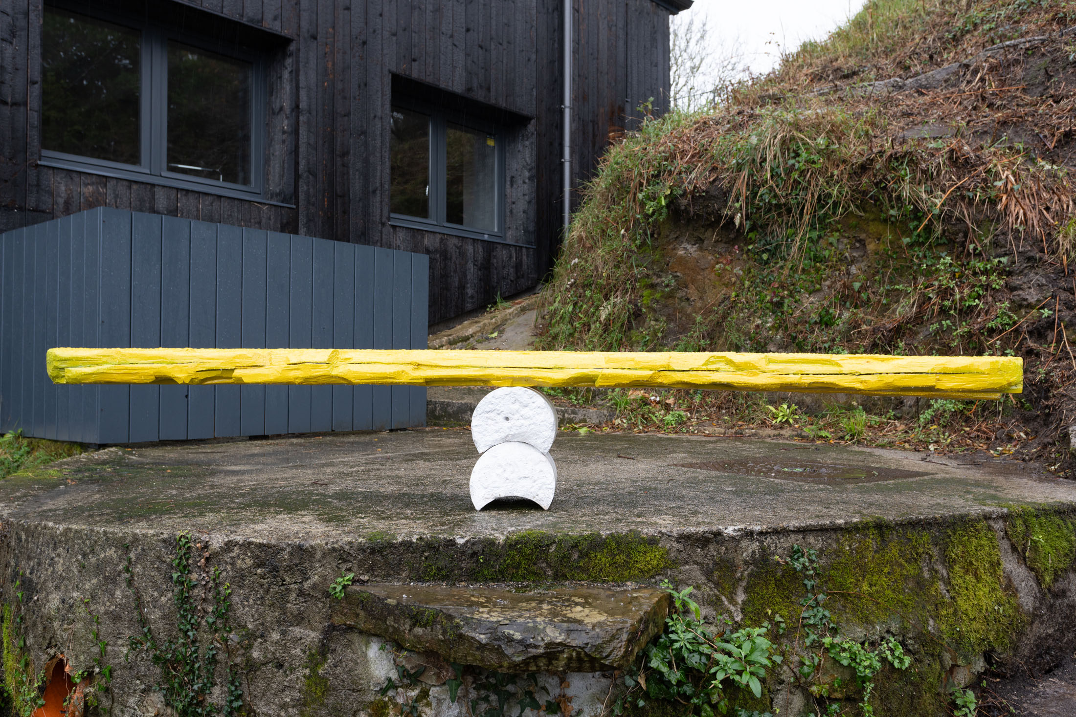 Ibon landa amutxategi at caniche – iturribide etxea, ibarrangelu 26