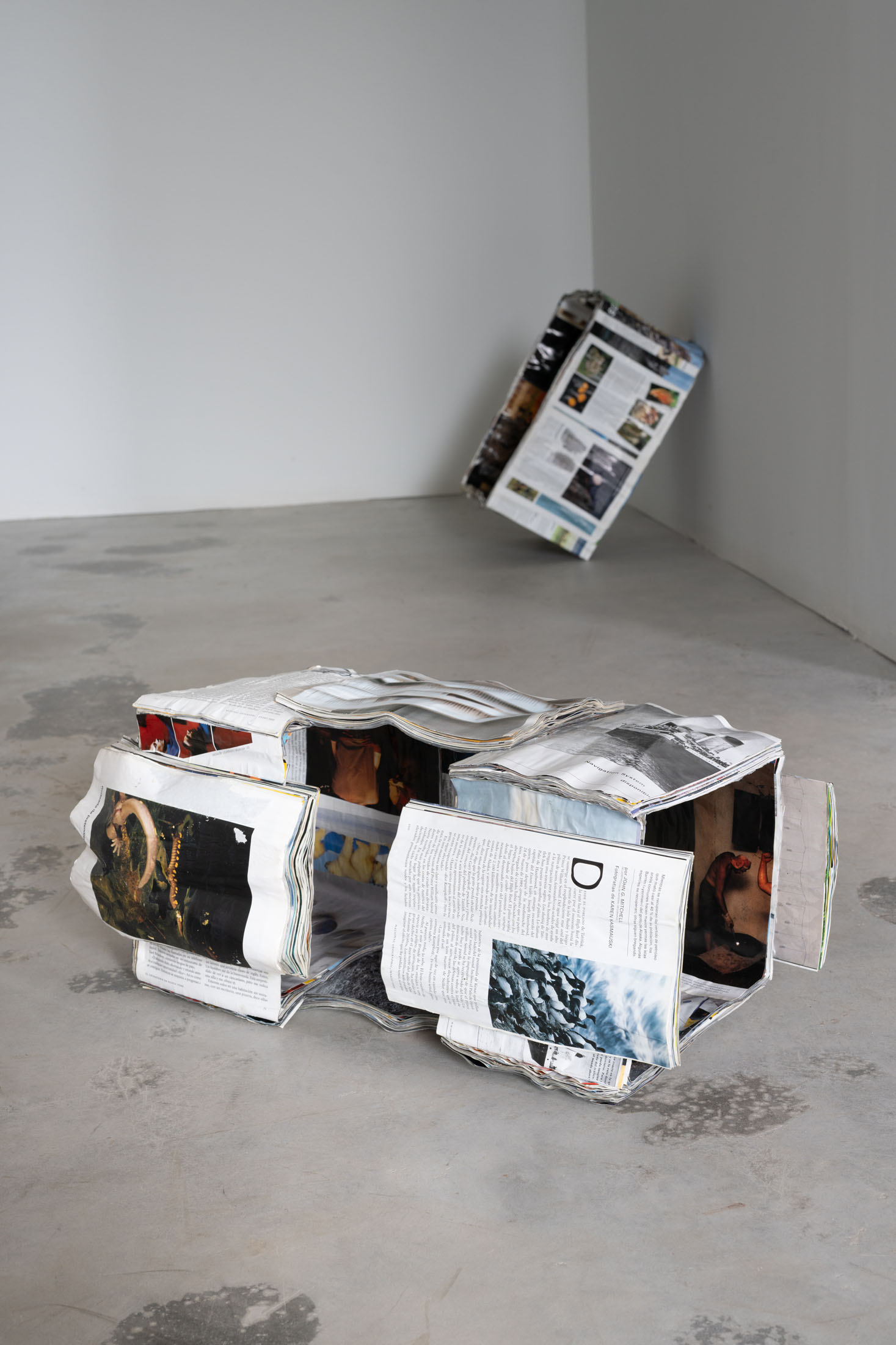 Ibon landa amutxategi at caniche – iturribide etxea, ibarrangelu 5