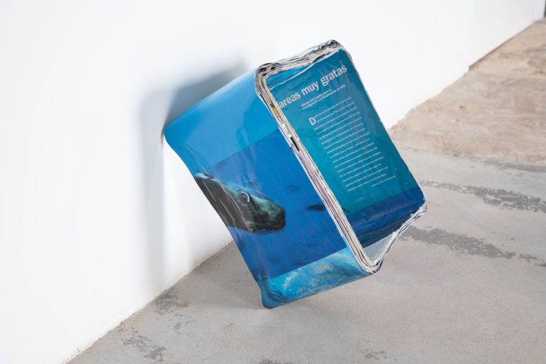 Ibon landa amutxategi at caniche – iturribide etxea, ibarrangelu 7