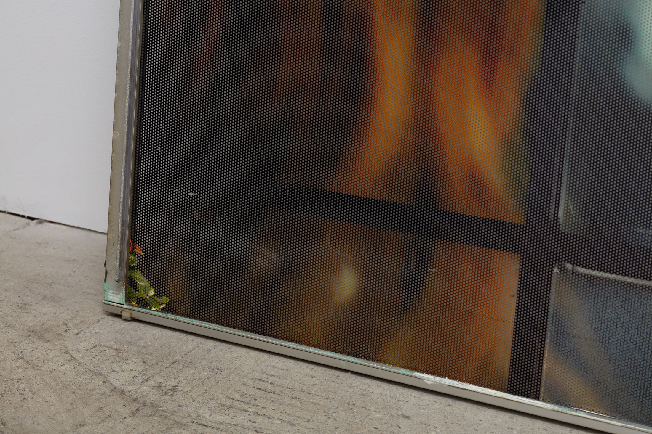 Josh schaedel at gene’s dispensary, los angeles 19