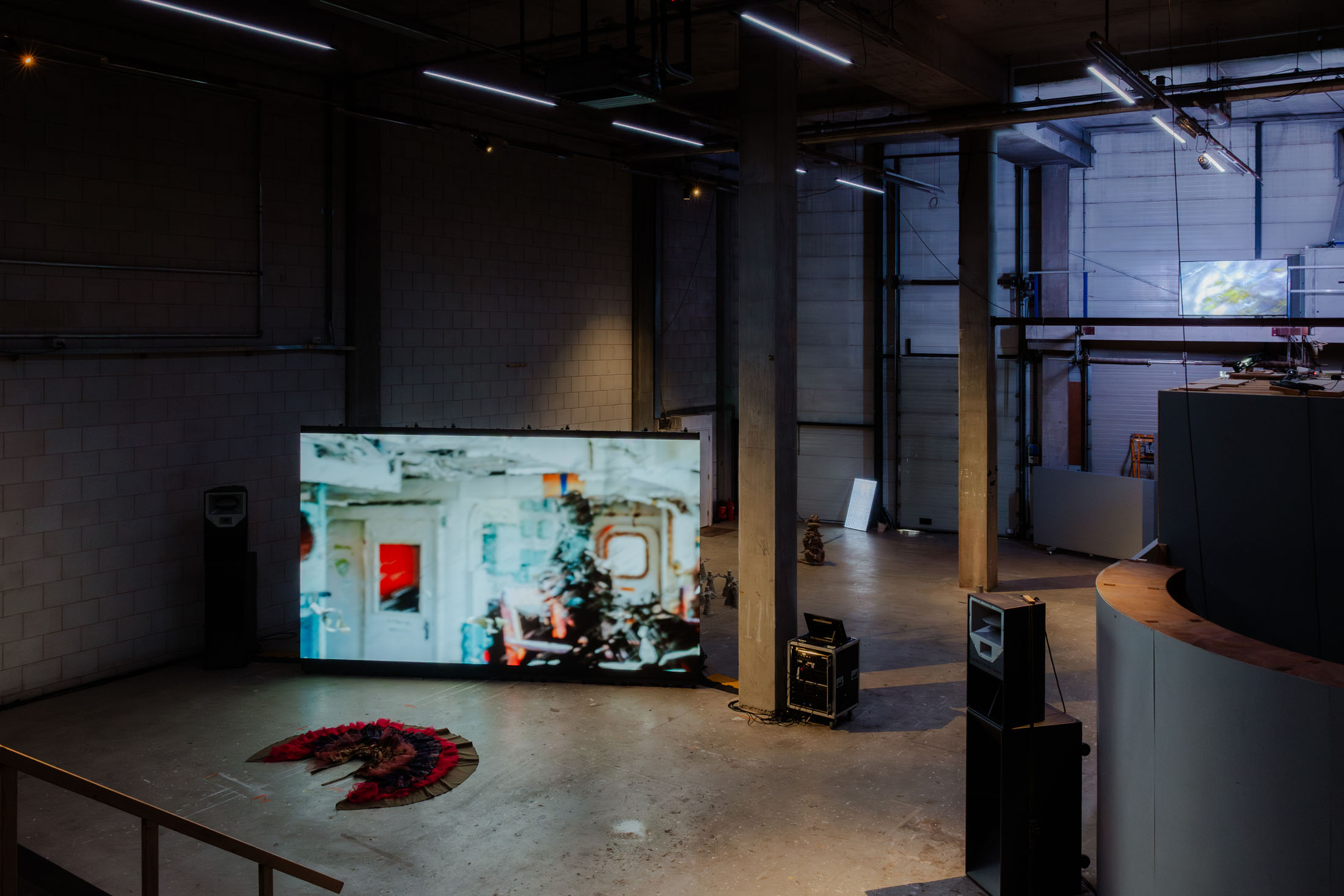 Nest ampmam3 (img joris van den einden) 02