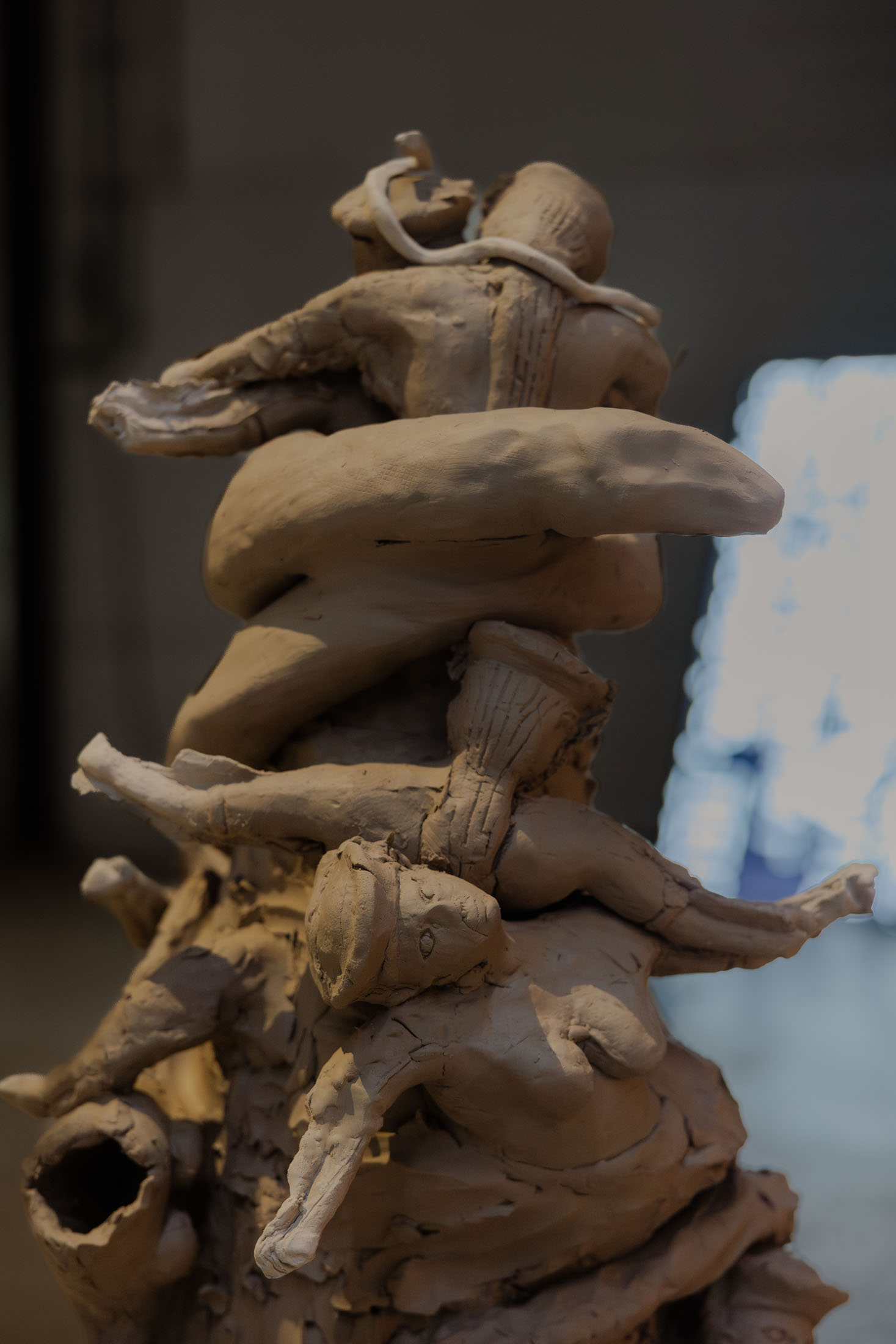 Nest ampmam3 (img joris van den einden) 21