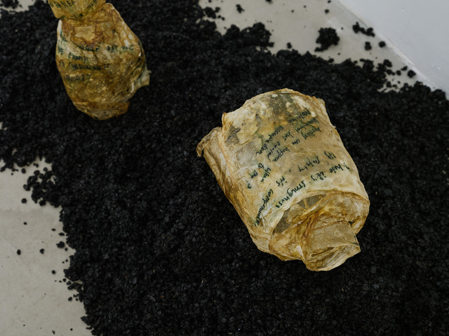 Odyssea le sel de la terre at spiaggia libera and punta gallery 24