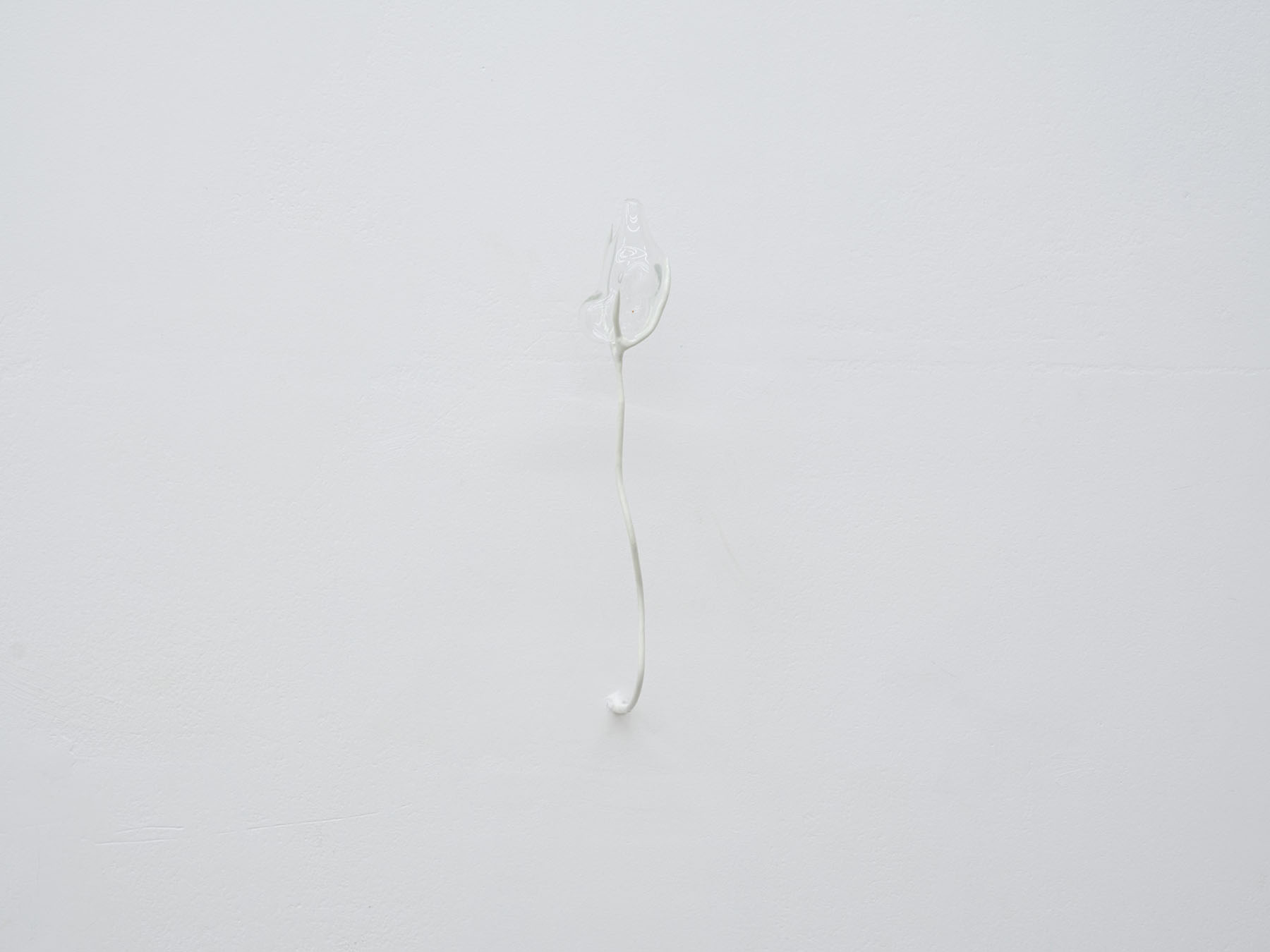 Odyssea le sel de la terre at spiaggia libera and punta gallery 5