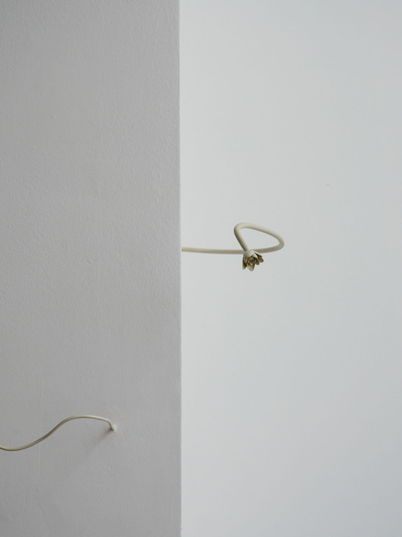 Odyssea le sel de la terre at spiaggia libera and punta gallery 6