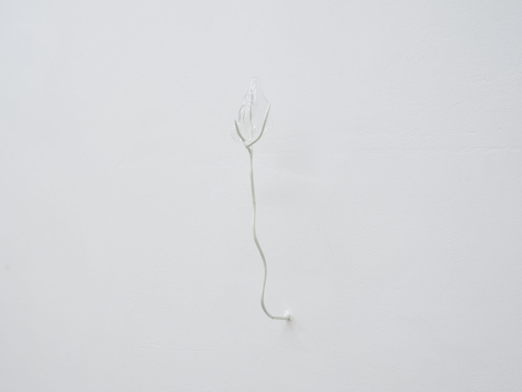 Odyssea le sel de la terre at spiaggia libera and punta gallery 7