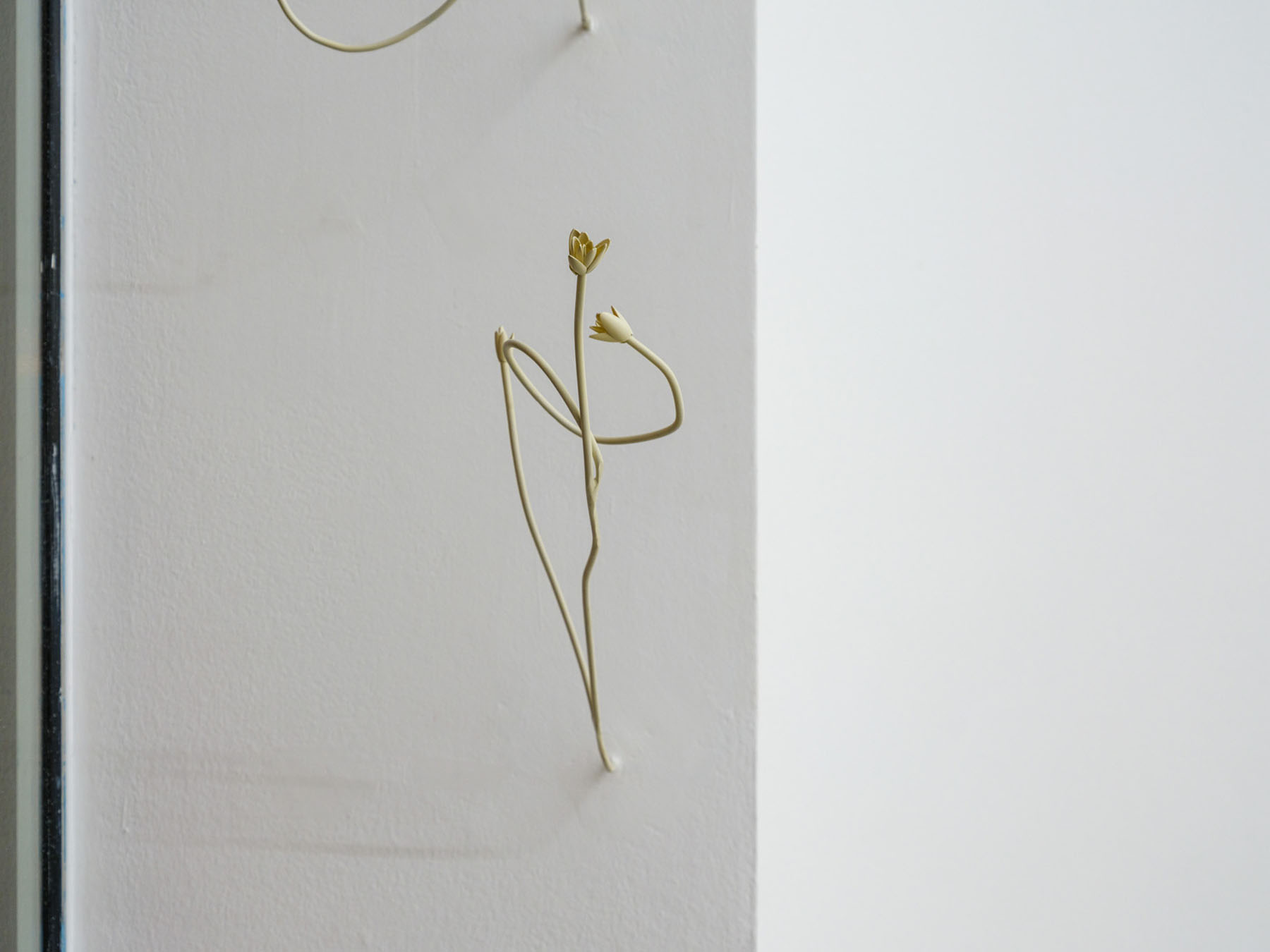 Odyssea le sel de la terre at spiaggia libera and punta gallery 8