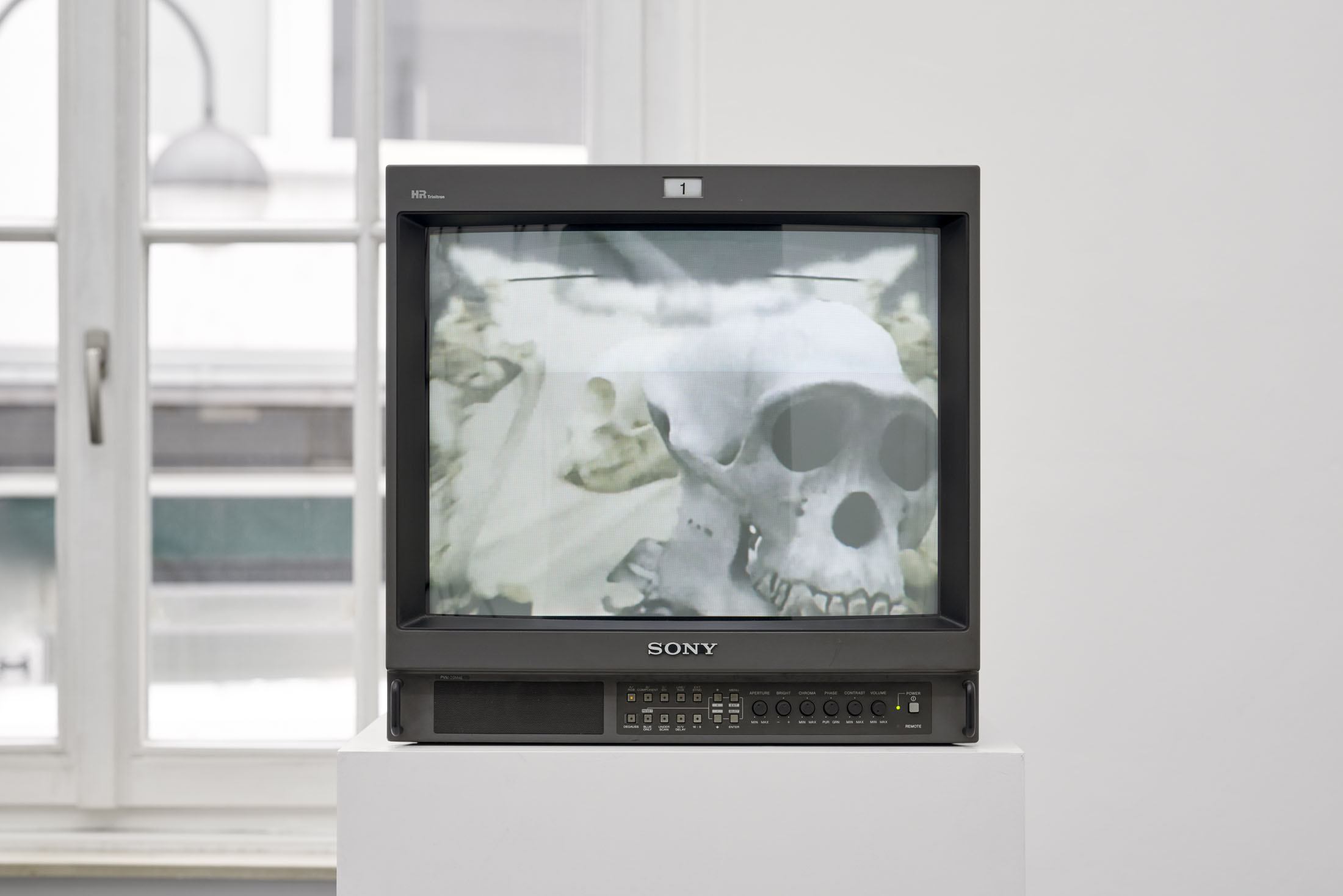 Stamina at drei, cologne 8