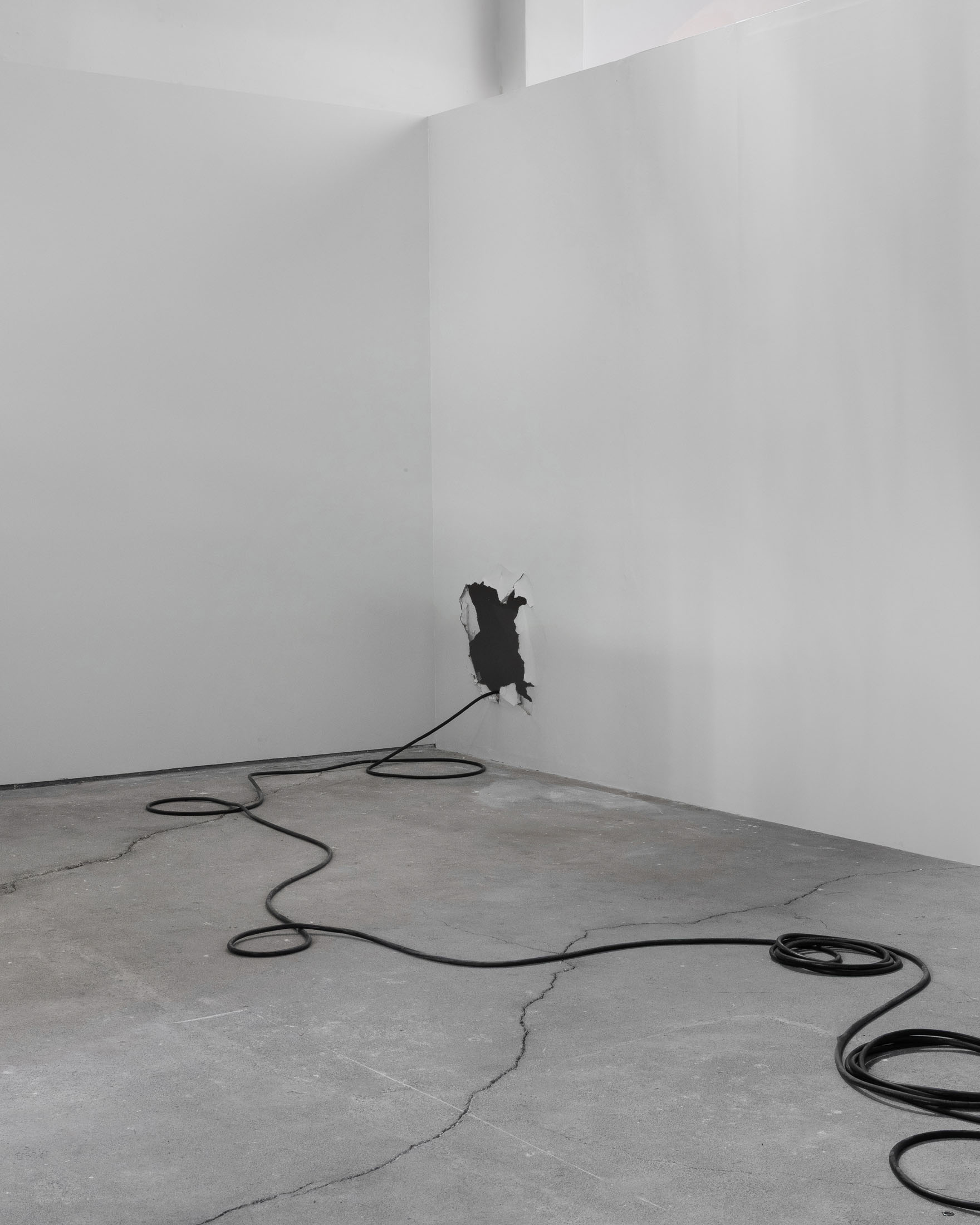 Tomás díaz cedeño at peana, mexico city 18