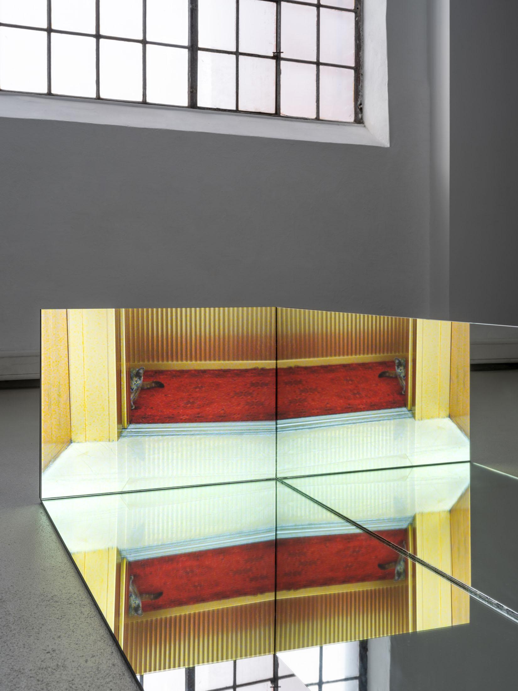 Ausstellung im kunstverein schwerin