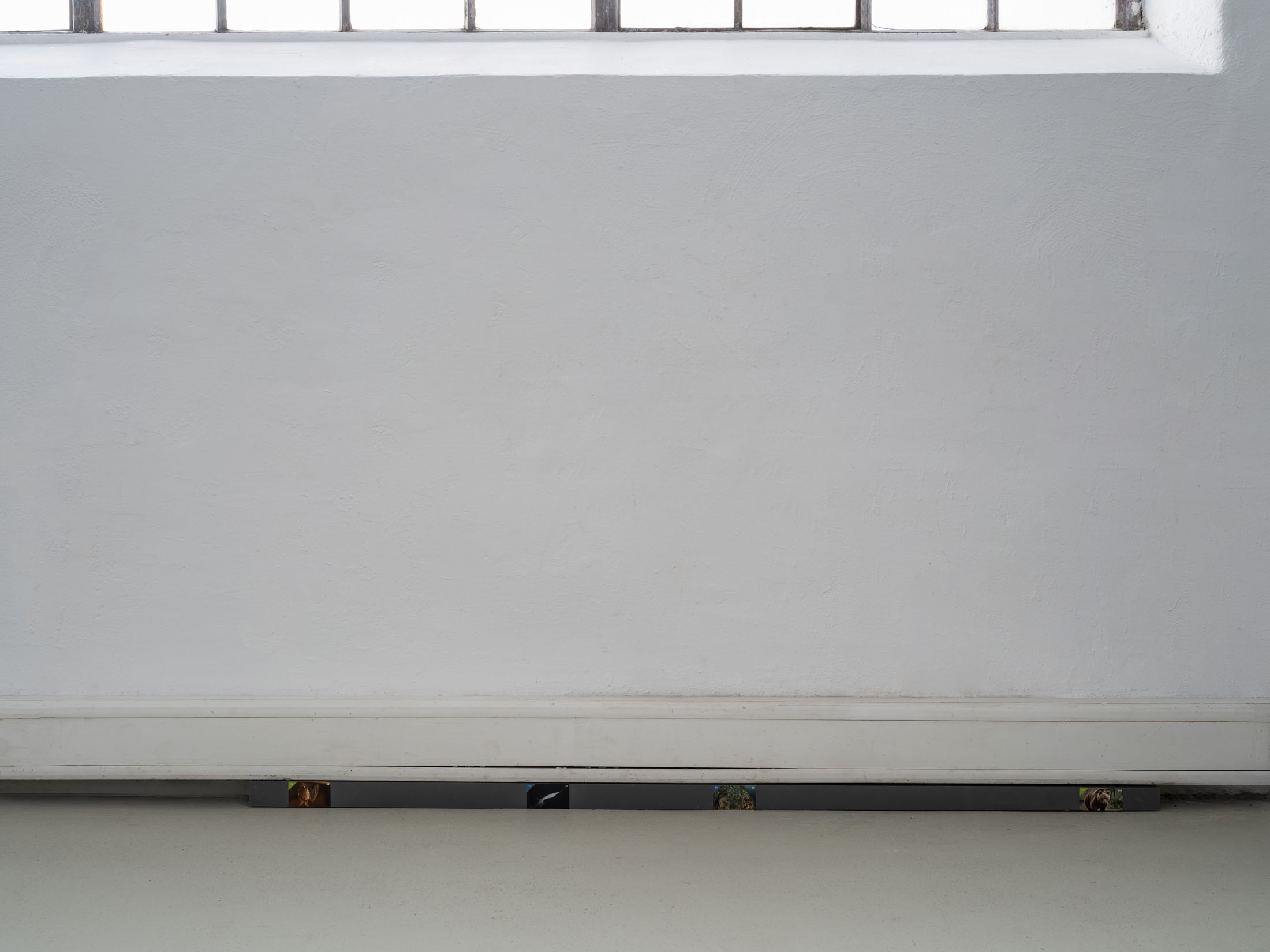 Ausstellung im kunstverein schwerin