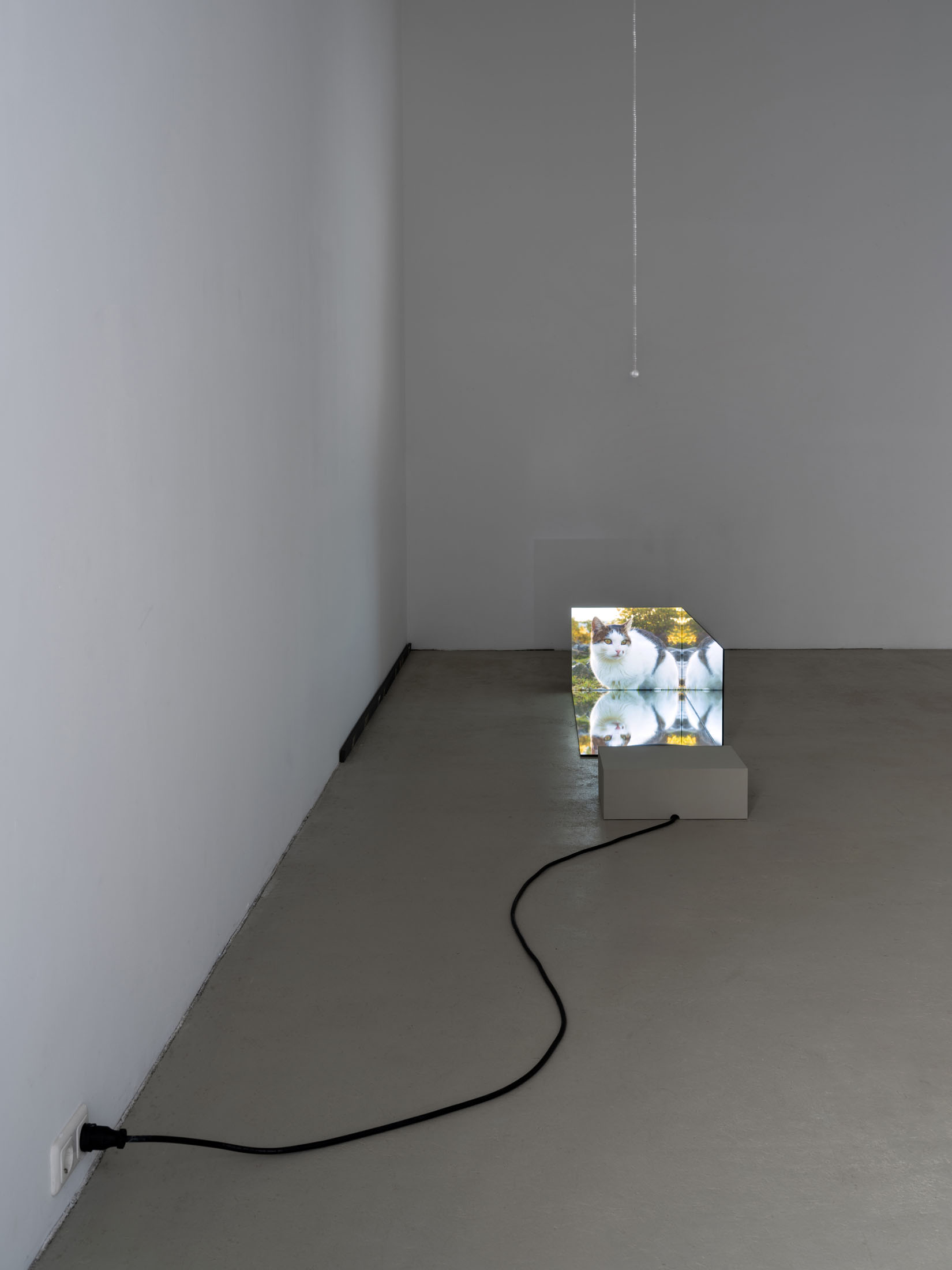 Ausstellung im kunstverein schwerin