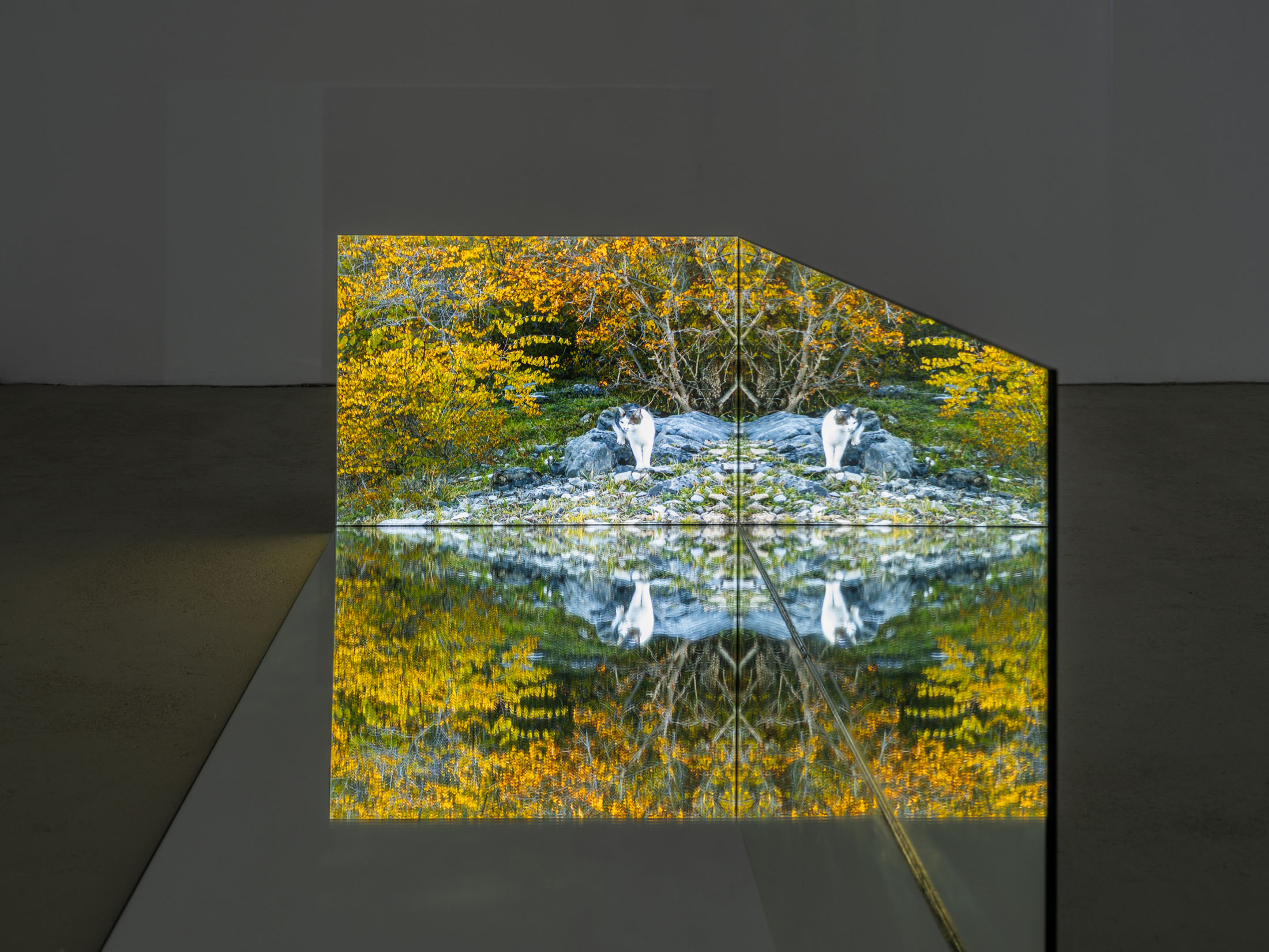 Ausstellung im kunstverein schwerin