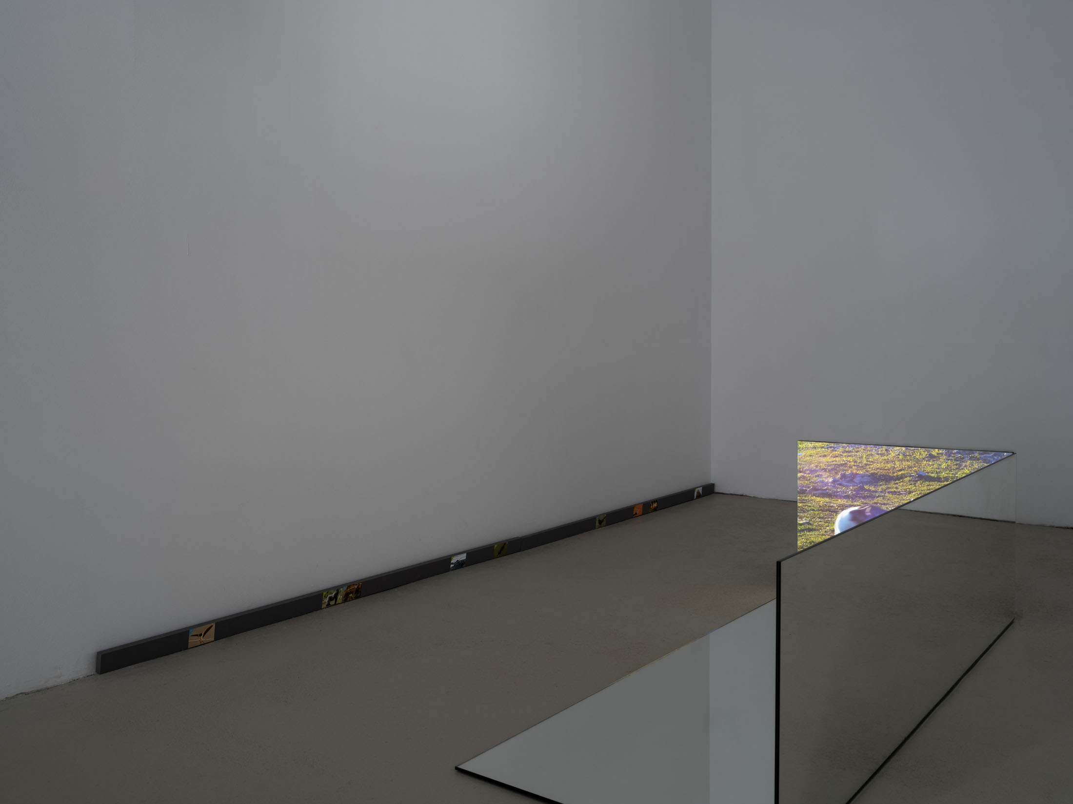 Ausstellung im kunstverein schwerin