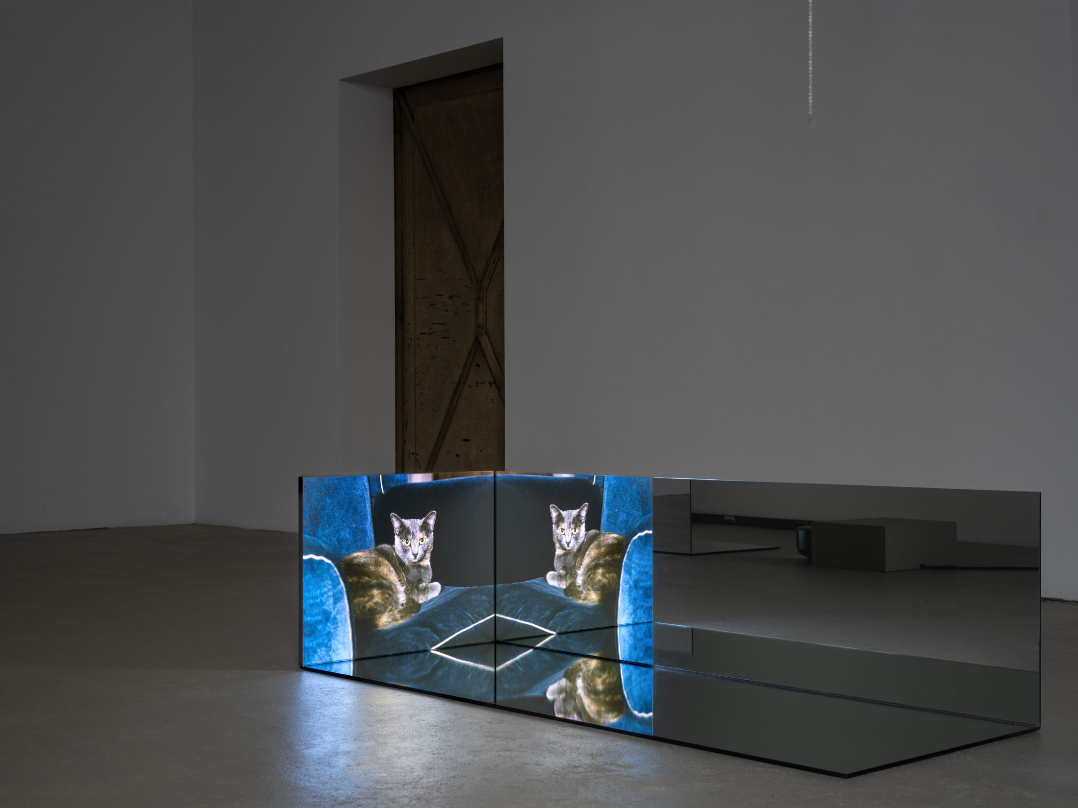 Ausstellung im kunstverein schwerin