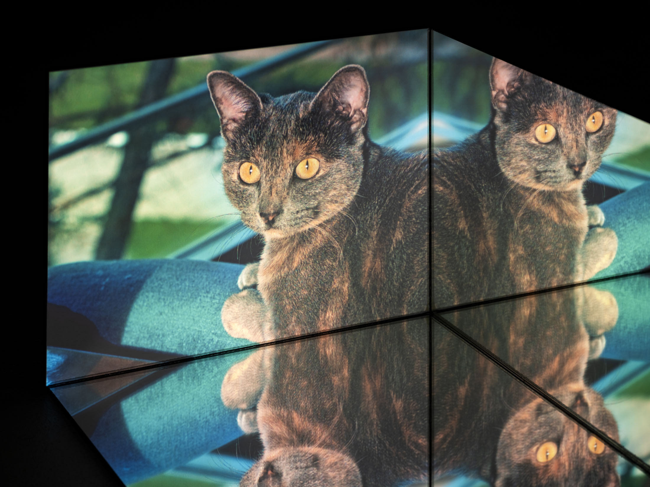 Ausstellung im kunstverein schwerin