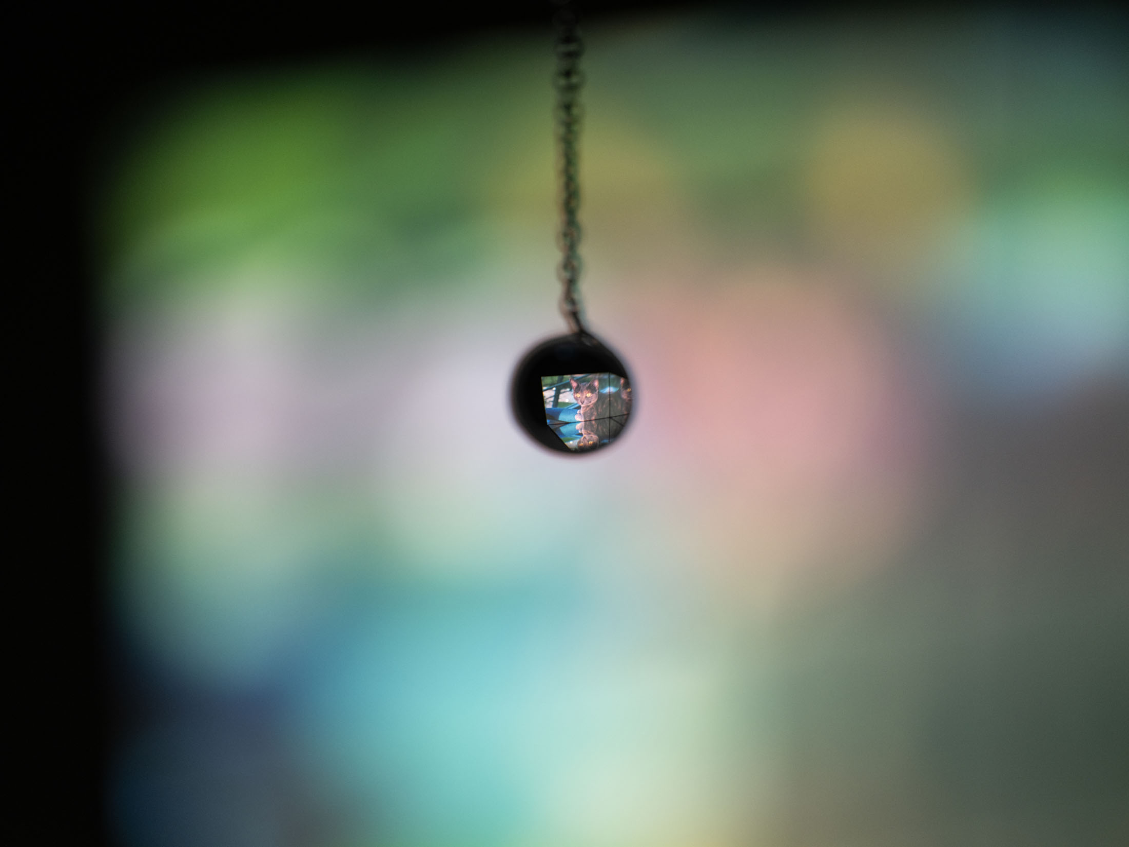 Ausstellung im kunstverein schwerin