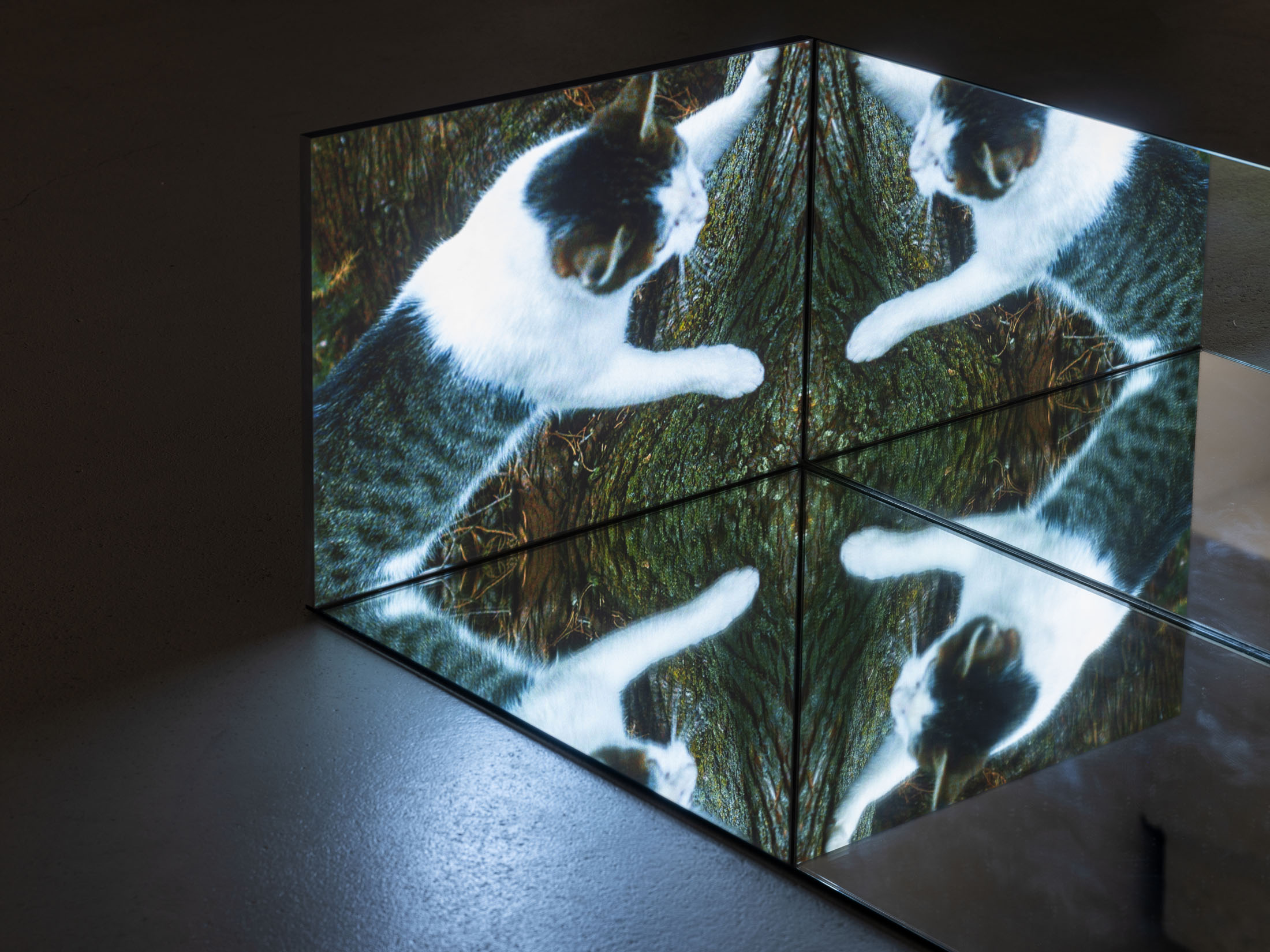 Ausstellung im kunstverein schwerin