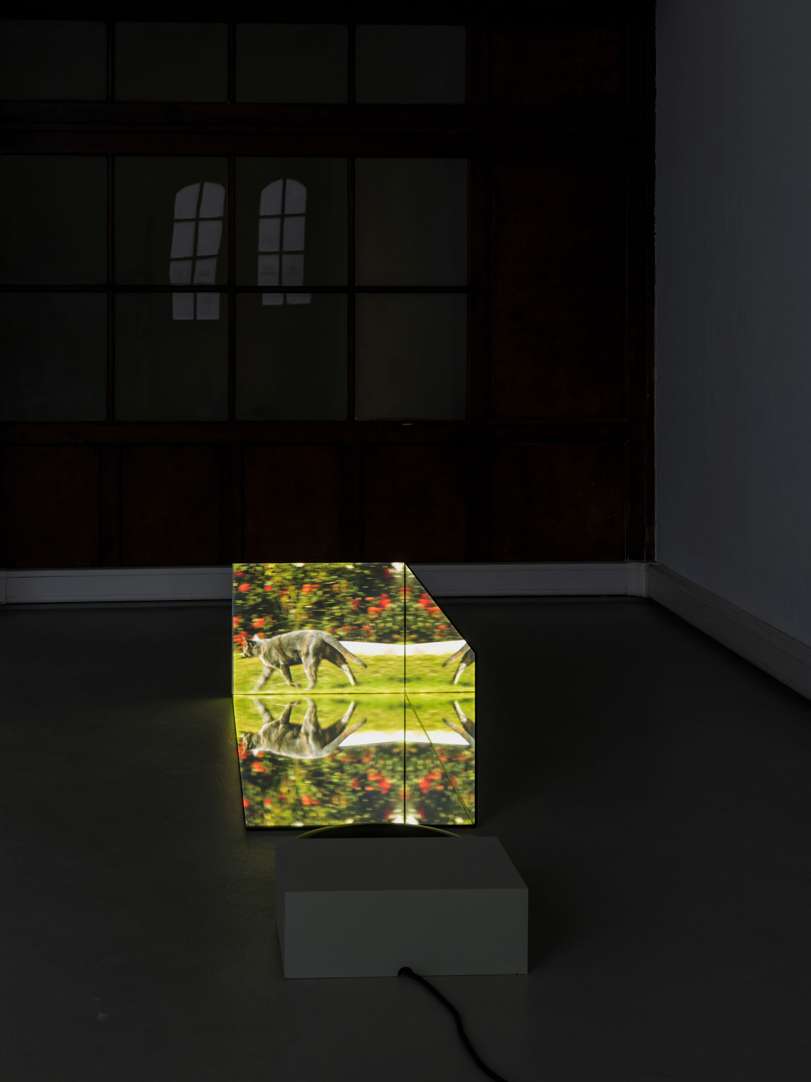 Ausstellung im kunstverein schwerin