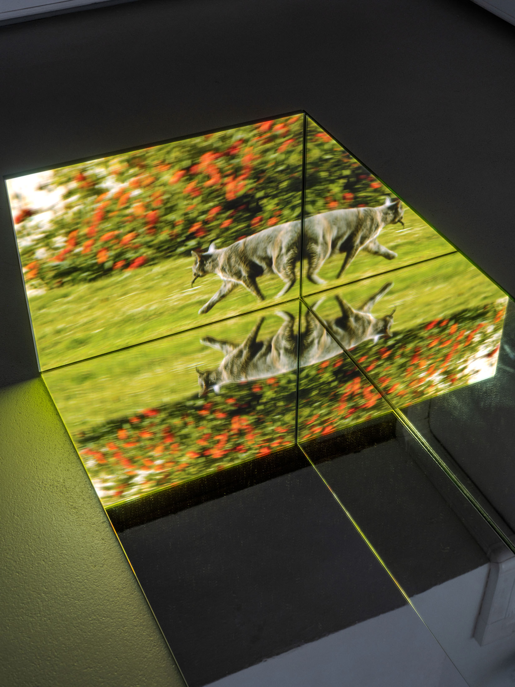 Ausstellung im kunstverein schwerin