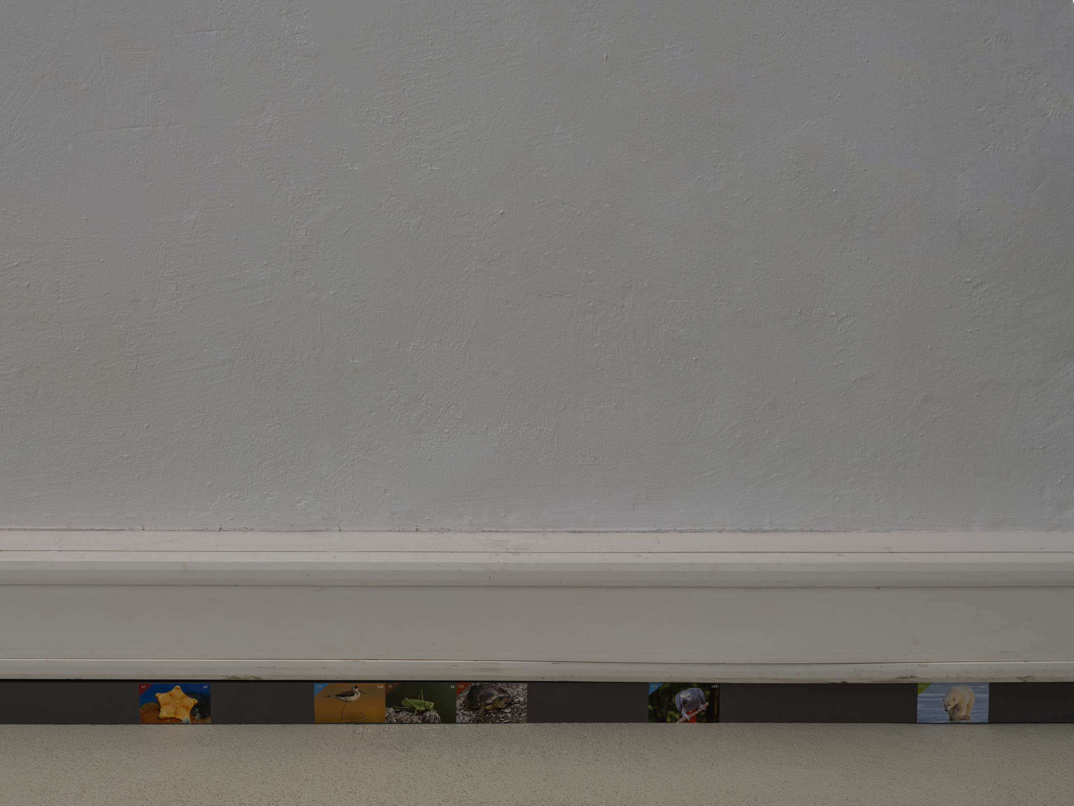 Ausstellung im kunstverein schwerin